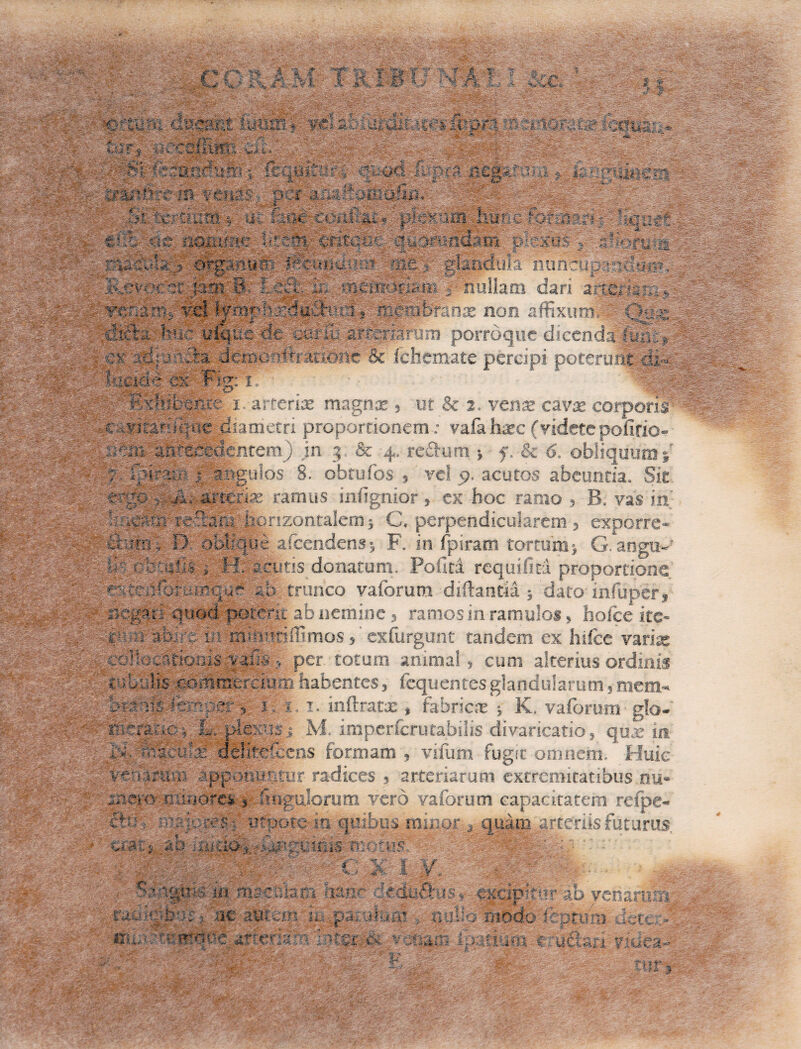 <w- c% ri. ,.v.< .X ±\., *.•£? \JJ * Y /■& U*f A ;€. iMh WtiOV: d UU£« ■ v dabi.; dii ;jd’iIbpirljr jki. ?»• efRira i.’ *. 'v vi--'I*. ; 'c ■■ ‘•tq-’4. V-- • w ^ / • Vjjd-. • ,,d • .'• vJ'-‘V*-; ■; • m ''di'd^' 'd.' m - • -oo le|t i ffiqelfa -o od Jvpck n vena s: per 4MC9MQH&* ■ 'X d xti terta:» •„ •:■ ■:<<: 6fiteEfc;rf|u5ftif!3am plexus g!l§|||||j •i■-f .cSfcgahut j■ iiif|£'r;i gTsntft.il a nufrtupa aciam janpB ■ -nti; ■ m > nullam dari artgfiifelb rt rV; .. Tfi v .diftai- Me <*■** -?%> V_vr _ |S'ip» 8' ■•1a& 'ance non affixun!^^™ ■ ulquc de aciriu srarBrum porroque dicenda fitalL ^s/sdjyciife: der.. 'Tatione & fchemate percipi pot^amt i Iricieid ex*frig: 1: ; FAitifcenrr i arterix magnx , ut & 2. venx cavx corporis cayitari/que diametri proportionem: vafahxc (videtepofirio- iYin antecedentem} in 3 & 4, re&um * f. & 6. obliquum > : f i a: s angulos S. obtufos , vel 9. acutos abeunda. Sic , :a jl; arterix ramus iniignior , ex hoc ramo , B. vas in ' .ca‘o reflam Horizontalem C. perpendicularem , expone¬ bam . D oblique aicendens; F. in fpiram tortumj G. angu- <b ri; abi H. acutis donatum. Pofid rcquifiti proportione rtuaboraiique -d; trunco vaforum diftantra 5 dato infuper , oegaii quod potem ab nemine , ramos in ramulos, hofce ite- vabimia mhnOffimos,'exfurgunt tandem ex hifce varix collocationis y%ti*per totum animal, cum alterius ordinis tilvMs commercium habentes, fcquentes glandularum, mem- b-BS-US femte# , j. 1., i. inftratx , fabricx ; K. vaforum glo- W-M ' ivv-tzii c, L. plexus i M. impcrfcrutabilis divaricatio, quae iit - Mcu® cfeifclScns formam , vifum fugit omnem. Huie mftrum :.apponuntur radices 5 arteriarum extremitatibus nu« oeem minares * fmgulorum vero vaforum capacitatem refpe- cb: 0 utpotc m quibus mixior j quam ^arteriis futurus. '■ n m S^ iiMps m nwcxiinm litor dcduSrmm cafercv 00 venatu .ai & .. . ■ . ■ ■ *■■ . s rac • m-. - ne a&tem u &gli - fiiado feotimi detet.- 4 ' • V ■- > 'v.'.'' • * , ' /’< i\ .. 5Vj , , yV' fc L ** <V. • ••• «M- ~r» <■' V . *►. *,. ■ .. - «.4 X ... .••• V-... = -i' _ V'» arrer:arr -r m- 'v-:Ub uCi«ij i v 10ea* “t 1 f' _ •#A i