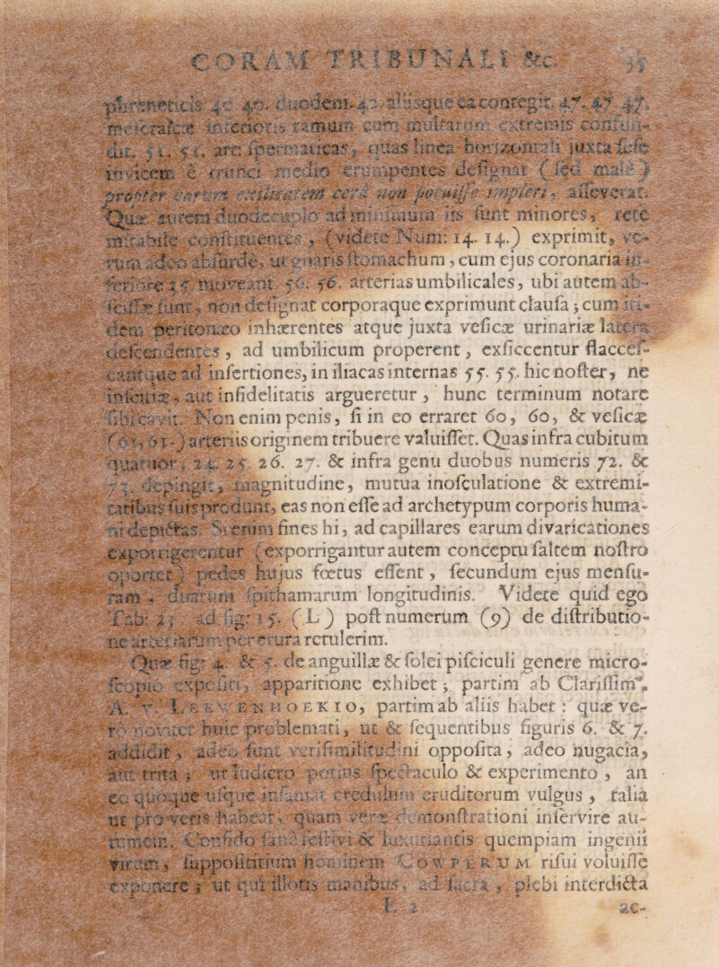 . ^ - -*» *- —^ ••*8**-. ‘y; -r.:a m*:K rdicx /-• f0aM;m^ruauui *i$ &nc mnuRC^ cete •.:r -:■• co * I - fe: 14. 14.) exprimi : .. 'fe.\, -.-i:,:- -: ■'••!: o-voyny ■ ,-•->•• ,nt arterias umbilicales, ubi autem . ■ ^CMS i&tvri feoat corporaque exprimunt daufa j cum ;d« dem De-iComeo inhaerentes atque juxta veficte urinariae la%-m ae.fc^.icnrcs , ad umbilicum properent, cxiiccentur ftaccei• carfenead iniertiones, in iliacas internas yy. 57, hienofter, ne inibufe ? aut nfidelitatis argueretur ,' hunc terminum notare 'nidc-yk/ Kcn enim penis, fi in eo erraret 00, 6o, & vellem ?Mi ? 1 ) uterus originem tribuere valuiflet. Quas infra cubitum V’a icr^ % 1 2<; 26^ 27, & infra genu duobus numeris 72. Se dcp-ngfe magnitudine, mutua inofculatione Sc extremi- di-ibui- fui spredunc* easnonefiead archetypum corporis huma» ' dxDdto ' enim fines hi, ad capillares earum divaricationes cxpoiapc: -/..ter ; exporrigantur autem conceptu faltem noftro hujus fetus eflent, fecundum ejus menfu- dam;-Jaddarum Ipithamarum longitudinis. Videte quid ego T;dr 2 j fe p ( L) poft numerum (p) de diftributio« iie cvner f mta retulerim. Qp** fid' 4 & de anguilte & folei pifciculi genere micro- fc ,Dh. ypc fin- apparitione exhibet j partim ab ClariffinT, ;£ -V'.'' J • yv e is h o ek 10, partim ab aliis habet: qux ve¬ ro -fcv :.c.. huic problemati, ut & fequentibus figuris 6. & 7, addidit, 2 itii.. vfefimilitudini oppolita> adeo nugacia, d-o trita i uf ludite potius -pcctaculo & experimento , an Iruditorum vulgus , doni in. fervi re aio ec aucjae-inque iniucat ( r yiublm ut pro •■veri* hdberr- quam -dq r mOi ifti ;vdreinvi et 1 ceu udat virum, Iu it umMOi wus quempiam ingemi fl-ras V a u M rifui voluifie