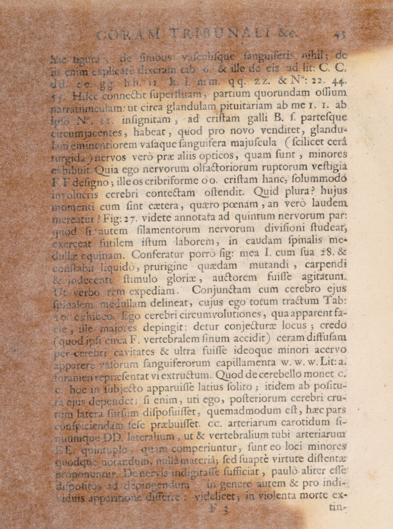 :-C tlgfe ; •. ; as ‘ :Si ^ i 4- 4 Vb-,.' • *w : ar: m t sciafc i. 4 d irV Q ' o' -y 'Vi r> . p s -v i ii . h- 6 m jt ... 'f s «■ * ■ . Hi? a. cbnnedrit fupeWi' . 0 amrut circa g!an \ ift* e> ii. infignitam , ;Vr •;■ , l - ■ • 'i*-, *»n ; 7 ' '* - - ' • • 4' . •• I; | w -A --bV ' £- - -4 ) ;.;i> At' ,< tJi-' dc ck ■ ii: C C, ii: qi:q: & N°: 22. 44. ■*?£ ; ii; -imni uiorem vaiaque (anguifera majuicuia ( (emeet cera l i rwii. i nervos vero prae aliis opticos, quam funt> minores r: Inbuii Oiiia ego nervorum olfactoriorum ruptorum veftigia 1 FdefigBo} iHeoscribriforme oo. criftam hanc, folummodd ir>voiiircr|s cerebri contedtam oltendit. Quid plura? hujus mlinenti cum fine extera, quaero poenam , an vero laudem creater iFig: 27. videte annotata ad quintum nervorum par: ;,nod fi autem filamentorum nervorum divifioni ftudeat, exerceat futilem iftum laborem, in caudam fpinalis me* Cfix equinam. Conferatur porro fig: mea I. cum fua 28. & r ^flabis: liquido, prurigine quaedam mutandi , carpendi jfedeeeoti inrnulo glonx, auctorem fuillc agitatum. : verbo cni expediam. Conjunctam cum cerebro ejus iiouakau neoullam delineat, cujus ego totum tractum i ab: cerebri circumvolutiones, qua apparent fa- aio.es depingit: detur conjedturx locus ; credo .jodiofi ircaF. vertebralem linum accidit) ceramdiftufam Cr cerc re t cavitates & ultra fuifle ideoque minori acervo ijsrer. siorum (anguiferorum capillamenta w. w. w.Lit:a. . ramea ♦ prxfentat viextru&um. Quod de cerebello monet c. v hoc 1« tubjedo apparuifie latius (olito; itidem ab pofitu- : . e]u:*depcn|ec; fi enim, uti ego, pofteriorum cerebri cru- T on lateri (Silum difpofuifiet, quemadmodum eft, hatepars ■ oiriV rk ri prsbuiffet. cc. arteriarum carotidum fi- e.rrar. * :ik : . i': . 4» ' . * r q eralium ut& vertebralium tubi arteriarum »v rt comperiuntur, lunteo loci minores p&apfeaiszmmi nuM eriiU fed luapte virtute dillentx srop4uru:ur.oDcneHi£ iiicb;: (afficiat, paulo aliter die' ‘ “ autem & pro mdi- *^/V m ijjgsfg -•■■a. y-riXK- se diiterre ^ fT; Jicet; ?n ¥to;cnta morte ex- tin-