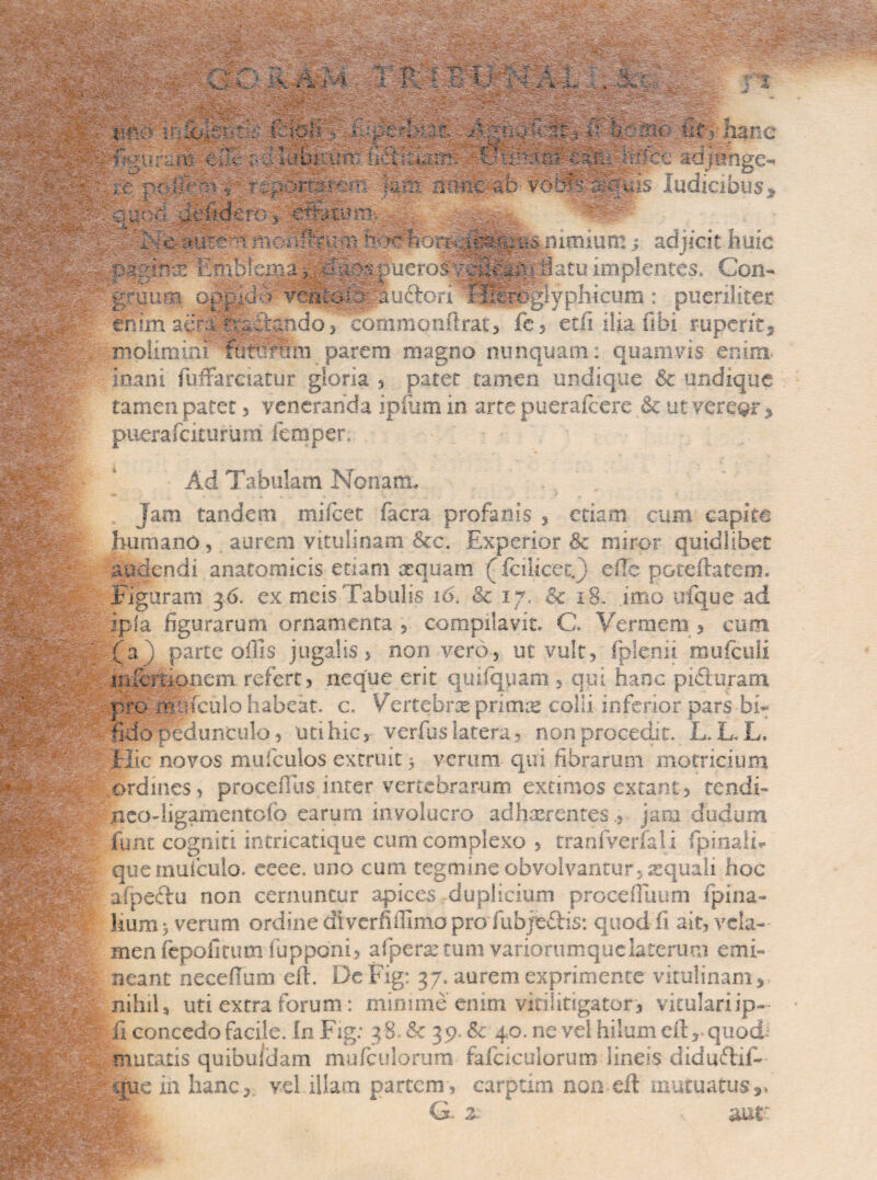 jggpii •/ rp - •., 'i ‘ n- i r.-vf 7; a i.-*-? •'- ••• \ i 2w -! •'A - ■ ~*. 'A ..- • •' ' •• j£ * ... • v6t3 Judicibus» V:U? .-■ dt-bdero % cm&m- ^ mc dq?u i> hcKThon-.ife&i^iniiun!adjicit huic •: -rffimn Emblema, SBospuerosvc3&#aflatu implentes. Cc>n- >tSSM£ j*vi S*?lgSi£ prumn oppido f^a&Suftori fMHipyphicum: pueriliter enim aeoi itando 5 eommonftrat, fc, etii ilia libi ruperit* -molimini tupfmm_ parem magno nunquam: quamvis enim inani fufrarciatur gloria , patet tamen undique & undique tamen patet, veneranda ipmm in arte puerafcere & ut verear * piierafcicururn fempen Ad Tabulam Nonam. Jam tandem mifcet facra profanis , etiam cum capite ^^^0-§] humano, aurem vitulinam &c. Experior & miror quidlibet ppf audendi anatomicis- etiam aequam (fcilieetj ede poteftatem. : Figuram 36. ex meis fabulis 16. & 17. & 18. imo ufque ad «IpSfe ipfa figurarum ornamenta , compilavit. C. Vermem , cum (a ) parte offis jugalis > non vero, ut vult, fplenii mufculi mieriionem refert> neque erit quifquam , qui hanc pifturam pro mnfculo habeat, c. Vertebras prima* colli inferior pars bi¬ fido pedunculo, uti hic, verfus latera , non procedit. L. L. L, I Hic novos mufculos extruit; verum qui fibrarum motncium ■ ordines, procefius inter vertebrarum extimos exeant, tendri B||^^^-jnco-ligamentofo earum involucro adherentesjam dudum funt cogniti intricatique cum complexo , tranfverfali fpinaln quemufculo. eeee. uno cum tegmine obvolvantur, squali hoc afpectu non cernuntur apices-duplicium procefTuum fpina- kum5 verum ordine diverfiffimo pro fubje&is: quod fi ait, vela- Ipipit' men fepofitum fupponi, afperanum variorumquclaterum emi- neant necefTum eft. DeFig: 37. aurem exprimente vitulinam > ^- nihil, uti extra forum: minime enim vitilitigator, vitulariip- concedo facile, in Fig: 38. Sc 30.& 40. ne vel hilum eftr quod; mutatis quibuidam mufculorum fafciculorum lineis diduftif- ^^^fe^que in hanc, vel illam partem, carptim non eft mutuatus *.