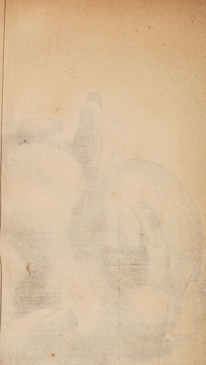 • •1 y. i.i ;vv', i is r~; ■>' ■ - % <> V K /•/ V • • ‘ • V, 'v 1\ :•/ , ,v(% • . r V > '* .' *• / ^ - * ■ ... , v; ; • •• .•» 3 .V, ,;: s-