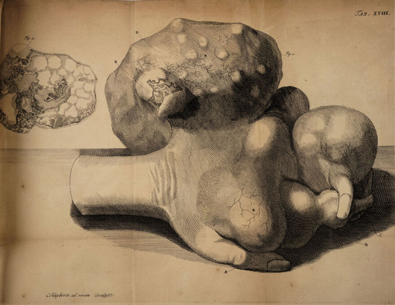 ac/ Scufe/zf’' Jas , xfxtt ,/rv