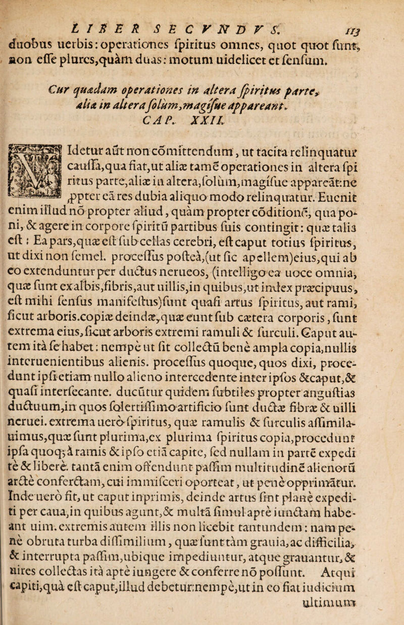 duobus uerbis: operationes fpiritus omnes, quot quot funt* »on eflfe plurcs,quam duas: motum uidelicet et fenfum. Cur quadam operationes in altera fpiritus parte> alia in altera folum, magtfue appareant, CAP. XXIL Idetur aut non comittendum> ut tacira relinquatur cauffa,qua fiat,ut alice tame operationes in altera fpi ritus parte,alias in altera,folum,maglfue appareat:ne ,ppter ea res dubia aliquo modo relinquatur. Eucnit enim illud no propter aliud, quam propter coditiono, qua po¬ ni, &amp; agere in corpore fpiritu partibus fuis contingit: quas talia cft: Eapars,quae eft fub cellas cerebri, eft caput totius fpiritus, utdixinonfenieL proceiFuspoftea,(utfic apcllem)eius,quiab co extenduntur per ductus nerueos, (intelligo ea uoce omnia, qux funt exalbis,fibris,aut uillis,in quibus,ut index praecipuus, eft mihi fenfus manifeftus)funt quafi artus fpiritus, aut rami, ficut arboris.copire deind^rqux eunt ftib cetera corporis, funt extrema eftis,ficut arboris extremi ramuli 6c furculi. Gaput au¬ tem ita fehabet; nempe ut fit colle&amp;u bene ampla copia,nullis interuenientibus alienis, proceftus quoque, quos dixi, proce¬ dunt ipli etiam nullo alieno intercedente inter ipfos &amp;caput,&amp; quafi interfecante. ducutur quidem fubtiles propteranguftias du£luum,in quos folertiffimoartificio funt du&amp;ae fibrae &amp; uilli ncruei. extrema uerofpiritus, quae ramulis &amp; furculis affimila- uimus,quxfunt plurima,ex plurima fpirituscopia,procedunr ipfaquoq*,&amp; ramis dcipfo etia capite, fed nullam in parte expedi te &amp; libere, tanta enim offendunt paffim multitudine alienoru ar£te confcr&amp;an^cui immifeeri oporteat, ut- pene opprimatur. Inde nero iit, ut caput inprimis, deinde artus fint piaee expedi¬ ti per cauajn quibus agunt,5c multa firnul apte iundam habe¬ ant uim. extremis autem illis non licebit tantundem: natn pe¬ ne obruta turba diffimilium, quae funttam grauia,ac difficilia> &amp; interrupta paffim,ubique impediuntur, atque grauantur,&amp; nires colle&amp;asita apteiungere &amp; conferre no poffunt. Atqui capitfqua eft caput,illud debetur;nempe,utin eo fiat indicium ultimum