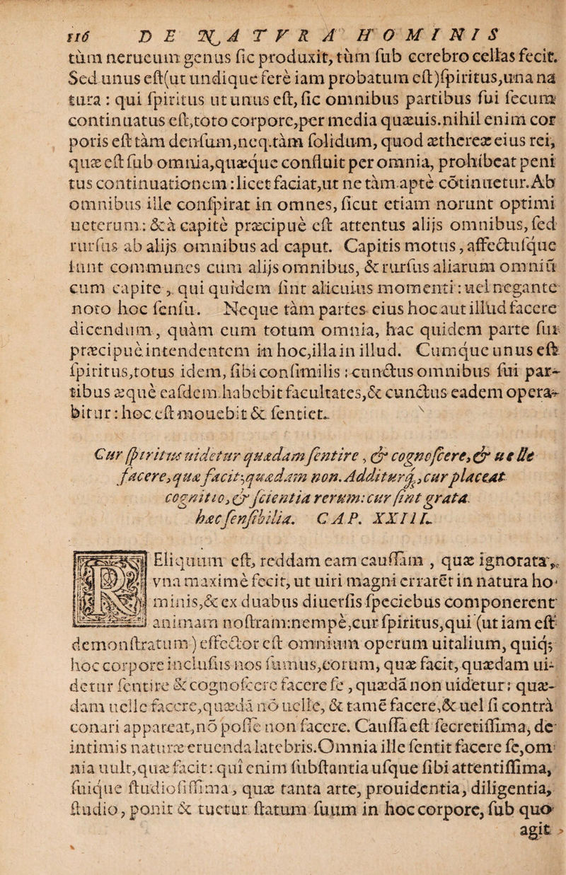 tum nerue 11111 genus fic produxit, tum fub cerebro cellas fecit. Sed unus eft(ut undique fere iam probatum eft)fpiritus,una na tura : qui fpintus ut unus eft, fic omnibus partibus fui fecum continuatus eft,toto corpore,per media quxuis.nihil enim cor poris eft tam deiifum,neqvtam folidum, quod asthereas eius rei, qnx eft fub omni a, quaque confluit per omnia, prohibeat peni tus continuationem dicet faciat,ut ne tam apte cdtinnetur.Ab omnibus ille confpirat in omnes, ficut etiam norunt optimi ueteruni; &amp;a capite prxeipue eft attentus aliis omnibus, fed rumis ab alijs omnibus ad caput. Capitis motus, afFedtufque liint communes cum alijs omnibus, &amp;rurfus aliarum omni fi¬ cum capite , qui quidem fint alicuius momenti: uel negante noto hoc fenfu. Neque tam partes cius hoc aut illud facere dicendum, quam cum totum omnia, hac quidem parte fin pr&amp;cipueintendentcm m hoc,illa in illud. Cumque un us eft. fpiritu.s,totus idem, fi b icon fimi lis; eundus omnibus fui par¬ tibus &amp;que eafdem habebit facultates,&amp; cunctus eadem operae bitur: hoc eft monebit 6c fenticu Cur (piriuidetur quadamfentire, &amp; cognofcere, &amp; utile facere, quafacit ; q uadam non. Addat urtf cur placeat cognitio, crj'cient ia rerum: cur fi'nt grata hacfenfbilia. C A P. XXIIL Eli quum eft, reddam eam cauffam , quas Ignoratav vna maxime fecit, ut uiri magni erraret in natura hc minis,&amp; ex duabus diuerfis fpcciebus componerent animam noftranunempe,cur fpiritus,qui (ut iam eft' demonftratuni) effedor eft omnium operum uitalium, quicp hoc corpore iiiclufus nos fumus,eorum, quas facit, quxdam ui¬ detur fentire &amp; cognofcere facere fe, quaedanon uidetur; qua¬ dam uelic facere,quosda no uelle, &amp; tame facere A uel fi contra conari appareat,no pone non facere. Cauftaeft fecretiflima, de intimis naturx eruenda latebris.Omnia ille fentit facere fe,om; nia uulgqux facit: qui enim fubftantia ufqiie fibi attentiflima, fiiique ftirdiofiffima, quse tanta arte, prouidentia, diligentia, ftudio, ponit tuetur ftatum futim in hoc corpore, fub quo agit >