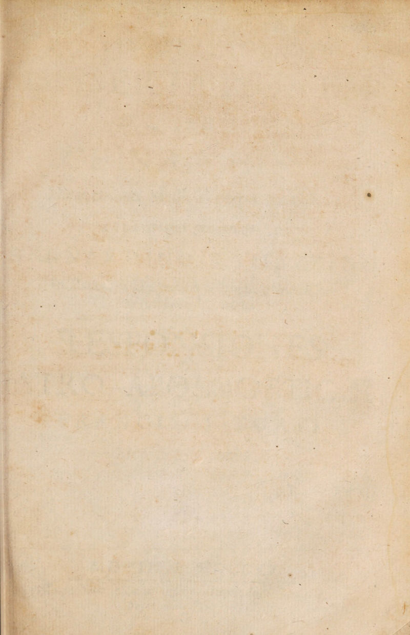 < -T . ' /- © / r r