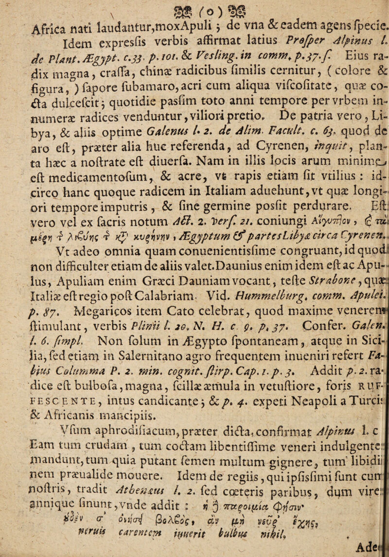 \ (° ) ^ Africa nati laudantur,moxApuli $ de vna & eadem agens fpede. Idem expresfis verbis affirmat latius Profper Alpinus L de Piant. JFgypt* c.33, p. 101. & Vesling. in comm, p.37. f Eius ra¬ dix magna, crafia, chinae radicibus fimilis cernitur, ( colore & figura, ) fapore fubamaro,acri cum aliqua vifcofitate, quae co- <qa diilcefcit 3 quotidie pasfim toto anni tempore pervrbem in¬ numera radices venduntur, viliori pretio, De patria vero, Li¬ bya, & aliis optime Galenus /• 2. de Alim. F acuit, c. 63, quod dc aro eft, praeter alia huc referenda, ad Cyrenen, inquit, plan¬ ta haec a noftrate eft diuerfa. Nam in illis locis arum minimo eft medicamentofum, & acre, vfe rapis etiam fit vtilius : id¬ circo hanc quoque radicem in Italiam aduehunt,vt quae longi¬ ori tempore imputris, & fine germine posfit perdurare. Eft vero vel ex facris notum A&. 2. Iterf 21. coniungi AHyu^ov, £ m, 4 /f€v'yjg 4 k$' Hv$mv, JEgyptum (f partesLibya circa Cyrenen, Vt adeo omnia quam conuenientisfime congruant, id quod- non difficulter etiam de aliis valet.Daunius enim idem eft ac Apu¬ lus, Apuliam enim Graeci Dauniam vocant, tefte Strabone, qua?; Italia eft regio poft Calabriam- Vid. Hummelhurg* comm. Apulei. p. 87. Megaricos item Cato celebrat, quod maxime venerem- ftimulant, verbis Plinii L 20. M H. c g. pt 37, Confer. Gakn> L 6. ftmpL Non folum in yEgypto fpontaneam, atque in Sici¬ lia, fed etiam in Salernitano agro frequentem inueniri refert Fa¬ bius C&ltimma P. 2. min. cognit. flirp.Cap.h p> 3. Addit p. 2. ra* dice eft bulbofa,magna, fcillaeaemula in vetuftiore, foris ruf* fescente, intus candicante j & p. 4. expeti Neapoli a Turcfi & Africanis mancipiis. Vfum aphrodiiiacmn, praeter dicta^ confirmat Alpinus L c Eam tum crudam , tum codam libentiftime veneri indulgente: mandunt, tum quia putant femen multum gignere, tum libidii nem praeualide mouere. Idem de regiis, qui ipfisfimi funt cun noftri.s, tradit Athenam /. 2. fed costeris paribus, dum vire: 3nnique finunt,vnde addit 1 fj § mgoigiia, (pqoiv or dnjcnj , av fjLn vsvg mruu carentem U^uerit bulbus mhiL Ade«