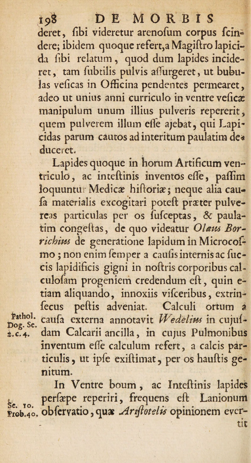 deret, fibi videretur arenofum corpus fcin» dere; ibidem quoque refert,a Magiftro lapici¬ da fibi relatum , quod dum lapides incide¬ ret , tam fubtilis pulvis afturgeret, ut bubu¬ las veficas in Officina pendentes permearet, adeo ut unius anni curriculo in ventre vefioe manipulum unum illius pulveris repererit, quem pulverem illum effe ajebat, qui Lapi¬ cidas parum cautos ad interitum paulatim de* duceret. Lapides quoque in horum Artificum ven¬ triculo , ac inteftinis inventos efte, paftim loquuntur Medica? hiftoria?; neque alia cau- fa materialis excogitari poteft praeter pulve¬ reas particulas per os lufceptas, & paula¬ tim congeftas, de quo videatur Olam Bor- richim de generatione lapidum in Microcof- mo; non enim femper a caufis internis ac fuc- cis lapidificis gigni in noftris corporibus cai- culofam progeniem credendum eft, quin e- tiam aliquando, innoxiis vifceribus, extrin- fecus peftis adveniat. Calculi ortum a x?oghSe call^a externa annotavit Wedelim in cujuf- i.c. 4. dam Calcarii ancilla, in cu;us Pulmonibus inventum efte calculum refert, a calcis par¬ ticulis, ut ipfe exiftimat, per os hauftis ge¬ nitum. In Ventre boum , ac Inteftinis lapides ^ ? perfiepe reperiri, frequens eft Lanionum ierolMo, obfervatio, quas Ariftoteli'$ opinionem ever¬ tit