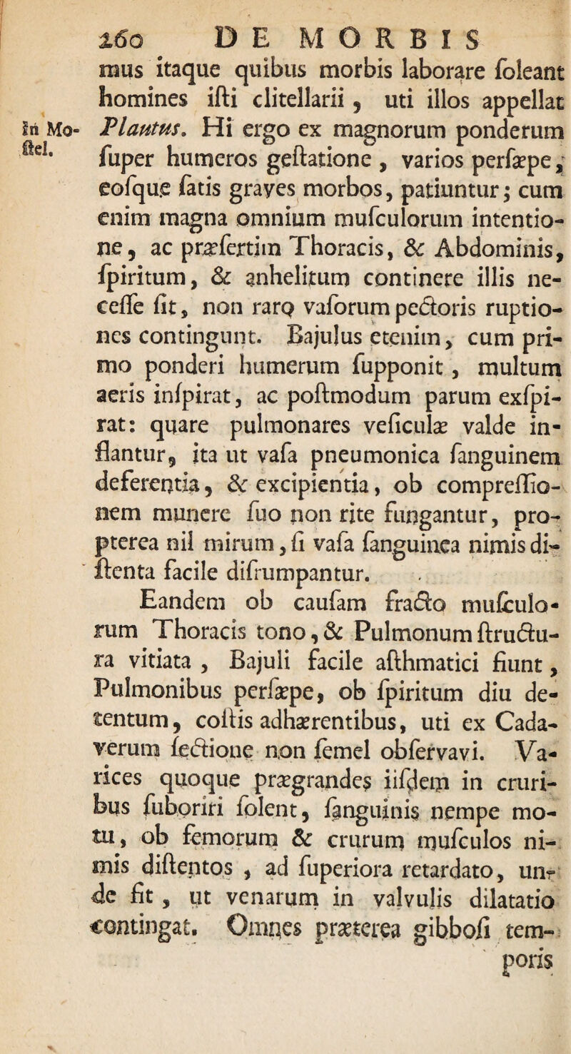 mus itaque quibus morbis laborare foleant homines ifti clitellarii , uti illos appellat in Mo- Plautus. Hi ergo ex magnorum ponderum ®d* fuper humeros geftatione , varios perfaepe, eofqu.e fatis grayes morbos, patiuntur; cum enim magna omnium mufculorum intentio¬ ne, ac pr^fertim Thoracis, & Abdominis, fpiritum, & anhelitum continere illis ne- cefie fit, non rarQ vaforum pedoris ruptio¬ nes contingunt. Bajulus etenim , cum pri¬ mo ponderi humerum fupponit, multum aeris infpirat, ac poftmodum parum exfpi- rat: quare pulmonares veficulae valde in¬ flantur, ita ut vafa pneumonica fanguinem deferentia, excipientia, ob compreflio- oem munere fuo ?ion rite fungantur, pro- pterea nil mirum, fi vafa (anguinea nimis di- flenta facile difrumpantur. Eandem ob caufam frado mufculo- rum Thoracis tono, & Pulmonum ftrudu- ra vitiata , Bajuli facile afthmatici fiunt, Pulmonibus perfaepe, ob fpiritum diu de¬ tentum , collis adhaerentibus, uti ex Cada¬ verum (edioue non (emel obfervavi. Va¬ rices quoque praegrandes iifdem in cruri¬ bus fuboriri (plent, fanguinis nempe mo¬ tu, ob femorum & crurum mufculos ni¬ mis diftentos , ad fuperiora retardato, unr de fit, ut venarum in valvulis dilatatio contingat. Omnes praeterea gibbofi tem¬ poris