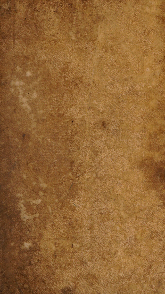 No text description is available for this image