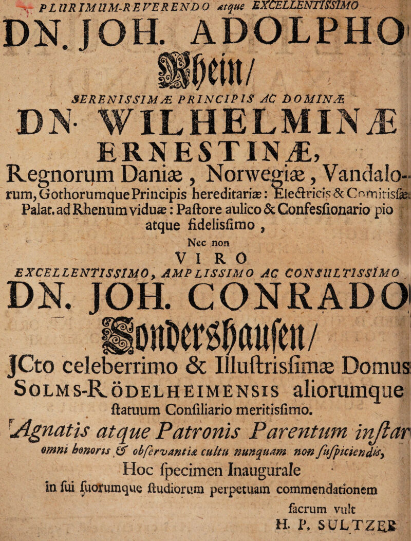 - PLURIMUM-REFERENDO atque EXCELLENTISSIMO D N Jj O H. peini SERENISSIMM PRINCIPIS AC DOMINA, DjS WlLHELMINiE ERNESTIN JE, Regnorum Danias , Norwegiae, Vandalo¬ rum, GothorumquePrincipis hereditarias: Eledlricis & Cofnitisfiet Palat, ad Rhenum viduas: Paftore aulico & Confeslionario pio atque fidelisllmo , Nec non VIRO EXCELLENTISSIMO, AMPLISSIMO AC CONSULTISSIMO DN. JOH. CONRADQI jonDers^aufen/ JCto celeberrimo & Illuftrisfimae Domus Solms-Rodelheimensis aliorumque flatuum Confiliario meritisfimo. Agnatis atque Patronis Parentum injlar omni bonoru iS obfervantia cultu nunquam non Ju/piciendif, Hoc fpecimen Inaugurale infui Quorumque ftudior ura perpetuam commendationem facrum vult H. 1\ SULTZRB