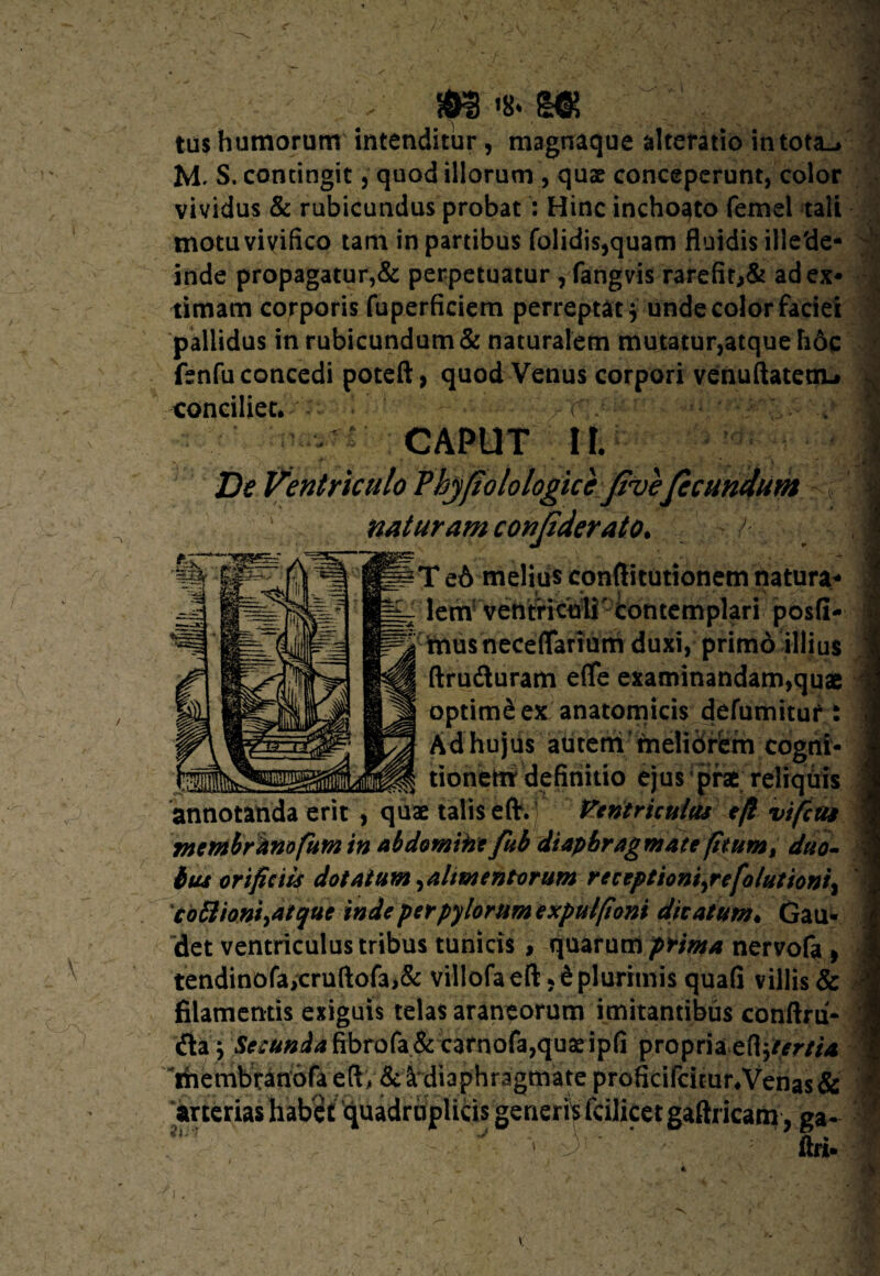 tus humorum intenditur, magnaque alteratio intota-/ M. S. contingit, quod illorum , quse conceperunt, color vividus & rubicundus probat : Hinc inchoato femel tali motu vivifico tam in partibus folidis,quam fluidis ille'de- inde propagatur,& perpetuatur , fangvis rarefit,& ad ex¬ timam corporis fuperficiem perreptat} unde color faciei pallidus in rubicundum & naturalem mutatur,atque h6c fenfu concedi poteft, quod Venus corpori venuftatetn-* conciliet. , r .  CAPUT II. De Ventriculo Vhjfiolologicc five fecundum Mturamconjiderato. / T e6 melius conflitutionem natura- lem ventriculi contemplari posfi- musneceffartum duxi, primd illius ftruduram efle examinandam,qua optime ex anatomicis defumitur i Ad hujus autem'melidrfem cogtii- tionem definitio ejairprae reliquis annotanda erit , quae talis efr. Ventriculus efl vi fias membrano fum in abdomihe fub diaphragmate fkum% duo- tus orificiis dotatum ^alimentorum receptioniyrefolutioni% cottioniyatque inde per pylorum expulfioni ditatum. Gau¬ det ventriculus tribus tunicis , quarum prima nervofa » tendinofa,cruftofa,& villofa efl ,£ plurimis quafl villis & filamentis exiguis telas araneorum imitantibus conftru- da y Secunda ftbrofa & catnofa,quae ipfi propria e(l$tertia ihembranofa eft * & ^diaphragmate proficifcitur.Venas & arterias habBt quadruplicis generiV fcilicet gaftricam, ga- r S ' ' - ftri. I •'V