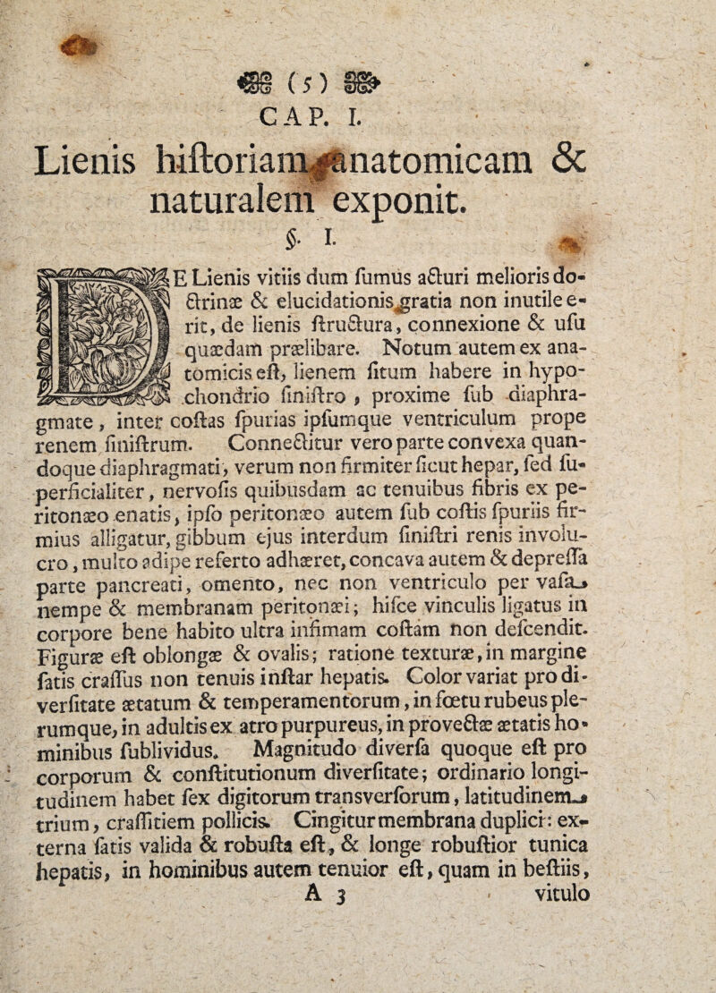 & ■* - Lienis hiftoriam^anatomicam naturalem exponit. i. E Lienis vitiis dum fumus a&uri melioris do- ftrinae & elueidationis^gratia non inutile e- rit, de lienis ftru&ura, connexione & ufa quaedam praelibare. Notum autem ex ana¬ tomicis eft, lienem litum habere in hypo- __ _ chondrio fmirtro , proxime fub diaphra¬ gmate , inter coftas fpurias ipfumque ventriculum prope renem finiftrum. Conne&itur vero parte convexa quan¬ doque diaphragmati, verum non firmiter licut hepar, fed fu- perficialiter, nervofis quibusdam ac tenuibus fibris ex pe¬ ritonaeo enatis, iofo peritonaeo autem fub cortis fpuriis fir¬ mius alligatur, gibbum ejus interdum finirtri renis involu¬ cro , multo adipe referto adhaeret, concava autem & depreffa parte pancreati, omento, nec non ventriculo per vafa_» nempe & membranam peritonaei; hifce vinculis ligatus in corpore bene habito ultra infimam coftam non defcendit. Figurs eft oblongae & ovalis; ratione texturae,in margine fatis cralfus non tenuis inftar hepatis. Color variat prodi- verfitate aetatum & temperamentorum, in foetu rubeus ple¬ rumque, in adultis ex atro purpureus, in proveftae aetatis ho¬ minibus fublividus. Magnitudo diverfa quoque eft pro corporum & conftitutionum diverfitate; ordinario longi¬ tudinem habet fex digitorum transverlbrum, latitudinem»* trium, craflltiem pollicis. Cingitur membrana duplici-: ex¬ terna fatis valida & robufta eft, & longe robuftior tunica hepatis, in hominibus autem tenuior eft, quam in beftiis, A 3 - vitulo