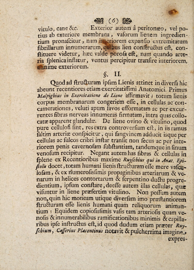 C / m c<5) vitulo, cane &c. Exterior autem a peritonseo, vel po¬ tius ab exteriore membrana > vaforum lienem ingredien¬ dum pronaicitur» nam ij^riorem expanfio extremitatum fibrillarum innumerarum, qlffbus lien conrtruftus eft, con- llituere videtur, haec valde porofa eft, nam quando arte¬ ria fplenicainflatur, ventus percipitur tranflre interiorem minime exteriorem. ; §. II. Quod ad flru&uram ipfam Lienis attinet indiver/a hic abeunt recentiores etiam exercitatifllmi Anatomici. Primus Malpigbius in Exercitatione de Liene affirmavit i totum lieilis corpus membranarum congeriem efle, in cellulas ac con¬ camerationes , veluti apum favos efformatam ac per excur¬ rentes fibras nerveas innumeras firmatam, intra quas collo¬ catae apparent glandulae. De liene ovino & vitulino,quod pure cellulofi fiht, res extra controverfiam eft, in iis ramus ialtim arteriae confpicitur, qui fangvinem adducit isqueper cellulas ac fulcos cribri inftar tranfic non fecus ac per inte¬ riorem penis cavernofam fubftantiam, tandemque in finum venofum recipitur. Negant autem has fibras & cellulas in fplene ex Recentioribus maxime Ruyfcbius qui in Anat. Epi¬ polis docet,totam humani lienisftrufturamefle mere vafcq- lofam, & ex numerollsfimis propaginibus arteriarum & ve¬ narum in helices contortarum & ferpentino duftu progre¬ dientium , ipfum conflare, deefle autem illas cellulas, qu« vifuntur in liene praefertim vitulino. Non polium autem non, quin hic moneam utique diverfam imo praeftantiorem ftru&uram efle lienis humani quam reliquorum animan¬ tium : Equidem copiofisfimis vafis tam arteriolis quam ve- nofis & innumerabilibus ramificationibus minimis & capilla¬ ribus ipfe inftru&us eft, id quod dudum etiam praeter Ruy- febium p Cajferius Placentinus notavit & pulcherrima imagine., expres- ( .