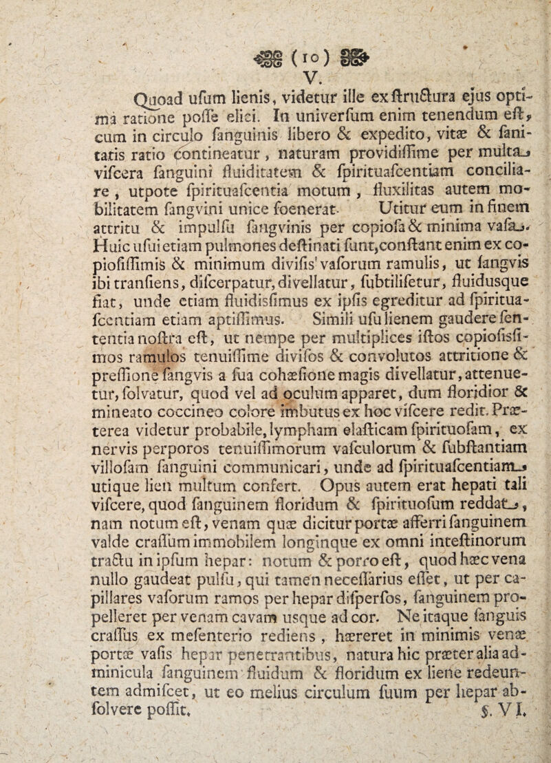 *■ 1 (io) §§«► V. * Quoad ufum lienis, videtur ille exftru&ura ejus opti¬ ma ratione pofle elici. In univerfum enim tenendum eft» cum in circulo fanguinis libero & expedito, vitae & fani- tatis ratio dontineatur , naturam providiflime per multa.» vifcera fanguini fluiditatesn 8c fpirituafcentiam concilia¬ re , utpote fpirituafcentia motum , fluxiiitas autem mo¬ bilitatem fangvini unice foenerat- Utitur eum in finem attritu & impulfu fangvinis per copiofa& minima vafaj. v Huic uluietiam pulmones deftinati fimt,conftant enim ex co- piofifllmis & minimum divifis vaforum ramulis, ut fangvis ibi tranfiens, difcerpatur,divellatur, fubtilifetur, fluidusque fiat, unde etiam fluidisfimus ex ipfis egreditur ad fpiritua- fccntiam etiam aptifilmus. Simili ufu lienem gaudere len¬ tentia noftfa eft, ut nempe per multiplices iftos copiofisfi- mos ramulos tenuiffime divifos & convolutos attritione & preffione fangvis a fua cohaefione magis divellatur,attenue¬ tur, folvatur, quod vel ad oculum apparet, dum floridior 8c mineato coccineo colore imbutus ex hoc vificere redit. Prar- terea videtur probabile, lympham eiafticam fpirituofam, ex nervis perporos tenuiflimorum vafculorum & fubftantiam villofam fanguini communicari, unde ad fpirituafcentiamj utique lien multum confert. Opus autem erat hepati tali vifcere, quod fanguinem floridum & fpirituofum reddat_», nam notum eft, venam qu;e dicitur portae afferri fanguinem valde crafliim immobilem longinque ex omni inteftinorum tra&u inipfurn hepar: notum & porro eft, quod haec vena nullo gaudeat pulfu, qui tamen neceflarius effet, ut per ca¬ pillares vaforum ramos per hepar difperfos, fanguinem pro¬ pelleret per venam cavam usque ad cor. Ne itaque fanguis craffus ex mefenterio rediens , haereret in minimis venae portae vafis hepar penetrantibus, natura hic praeter alia ad¬ minicula fanguinem fluidum &c floridum ex liene redeun¬ tem admifcet, ut eo melius circulum fuum per hepar ab- folverc poflit, VI,