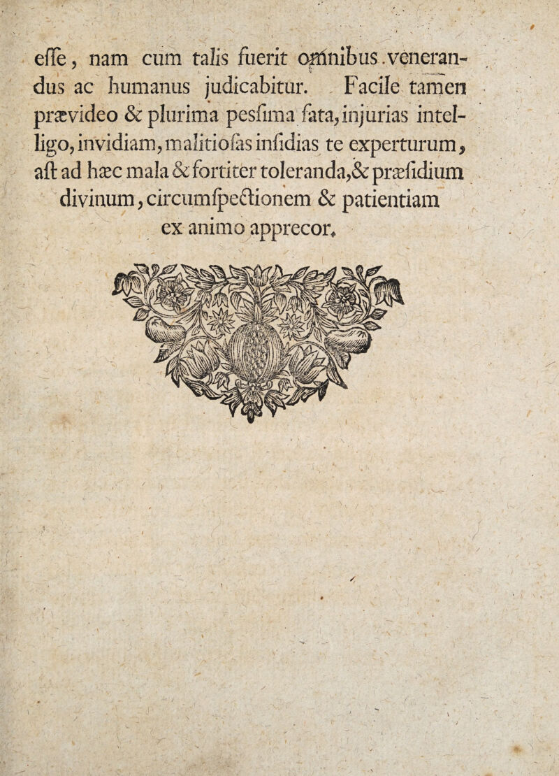 - \ efle, nam cum talis fuerit omnibus.veneran¬ dus ac humanus judicabitur. Facile tamen pnevideo & plurima pesfima fata,injurias intel- ligo,invidiam, malitiofasinfidias te experturum, aft ad hxc mala & fortiter toleranda,& pradidium divinum, circumlpeftionem & patientiam ex animo apprecor* • - : S • '■ ^ V.‘ , ... -V; • • • ^ ‘ - ' V V . „ ( ♦ ' \ ■' ; 'V A. C i f \ y \ ;