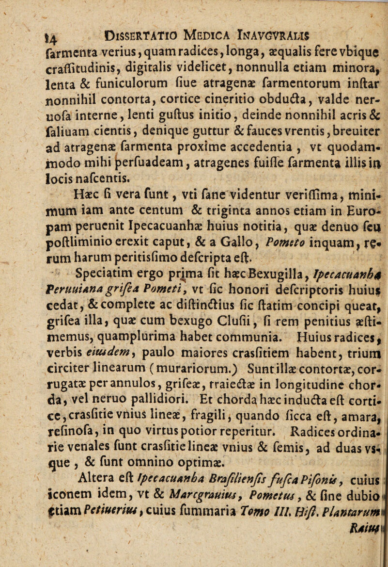 farmenta verius> quam radices, longa, aequalis fere vbique craffitudinis, digitalis videlicet, nonnulla etiam minora, lenta & funiculorum fiue atragenae farmentorum inftar nonnihil contorta, cortice cineritio obduda, valde ner- uofa interne, lenti guftus initio, deinde nonnihil acris & faliuam cientis, denique guttur & faucesvrentis,breuiter ad atragenae farmenta proxime accedentia , vt quodam¬ modo mihi jperfuadeam, atragenes fuifle farmenta illisio locis nafcentis. Haec G vera funt, vti fane videntur verififima, mini¬ mum iam ante centum & triginta annos etiam in Euro¬ pam peruenit Ipecacuanhs huius notitia, quae denuo feu poftliminioerexit caput, & a Gallo, Pometo inquam, re¬ rum harum peritisfimo defcripta eft. Speciatim ergo prjma fit haecBexugilla, Ipecacuanb4 PeruuUnagrifea Pometi, vt fic honori defcriptoris huius cedat, & complete ac diftindius fic ftatim concipi queat, grifea illa, quae cum bexugo Clufii, fi rem penitius aefti- memus, quamplurima habet communia. Huius radices, verbis eitudem, paulo maiores crasfitiem habent, trium circiter linearum (murariorum.) Sunt illae contortae, cor¬ rugatae per annulos, grifeae, rraiedae in longitudine chor¬ da , vel neruo pallidiori. Et chorda haec induda eft corti¬ ce, crasfitievnius lineae, fragili, quando ficca eft, amara, relinofa, in quo virtus potior reperitur. Radices ordina¬ rie venales funt crasfitie lineae vnius & femis, ad duas vs- que , & funt omnino optimae. Altera eft /pecacuanba Brajtlienjis fuJcaPifonu, cuius iconem idem, vt & Maregraum, Pomettu, & fine dubio | f tiam Petmrim, cuius fummaria Tomo IU. Hift. Plantarum\\ /