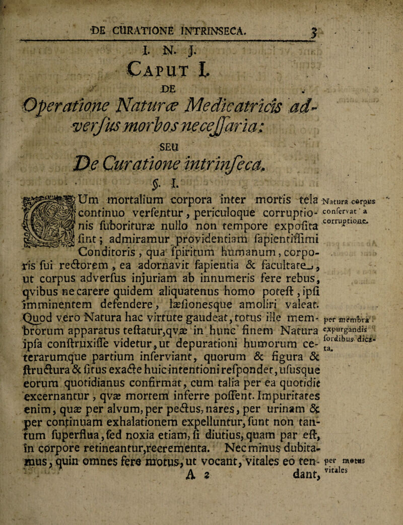 i n. j... 'V J';; Caput L DE Operatione Naturae Medie atricts ad- verjits morbos necejfar ia; SEU De Curatione intrinfeca, §. i. Um mortalium corpora inter mortis tela ‘Natura c$rp.KS continuo verfentur, periculoque corruptio- confervar» nis fuboriturte nullo non tempore expolita corruftlOAe- ■fint; admiramur providentiam fapientiffimi Conditoris , qua fpiritum humanum, corpo¬ ris fui reftorem , ea adornavit fapientia & facultate.,, ut corpus adverfus injuriam ab innumeris fere rebus, qvibus ne carere quidem aliquatenus homo poteft , ipfi imminentem defendere, hefionesque amoliri valeat. Quod vero Natura hac virtute gaudeat, totus ille mem- per membra 'brorum apparatus teftatur,qv.se in hunc' finem Natura «purgandis ipfa conftruxifie videtur,ut depurationi humorum ce- [“‘ilbus dlca terarumque partium inferviant, quorum & figura & ftruflura & fitus exadfe huic intentioni refponder, nfusque eorum quotidianus confirmat, cum talia per ea quotidie excernantur , qvas mortem inferre pollent. Impuritates enim, quae per alvum,per pe&us,nares, per urinam & per continuam exhalationem expelluntur, funt non tan¬ tum fuperflua,fed noxia etiam,fi diutius,quam par eft, in corpore retineantur,recrementa. Nec minus dubita¬ mus, quin omnes fere motus, ut vocant, vitales eo ten- ?er • ' •' ' A z dant,vitales