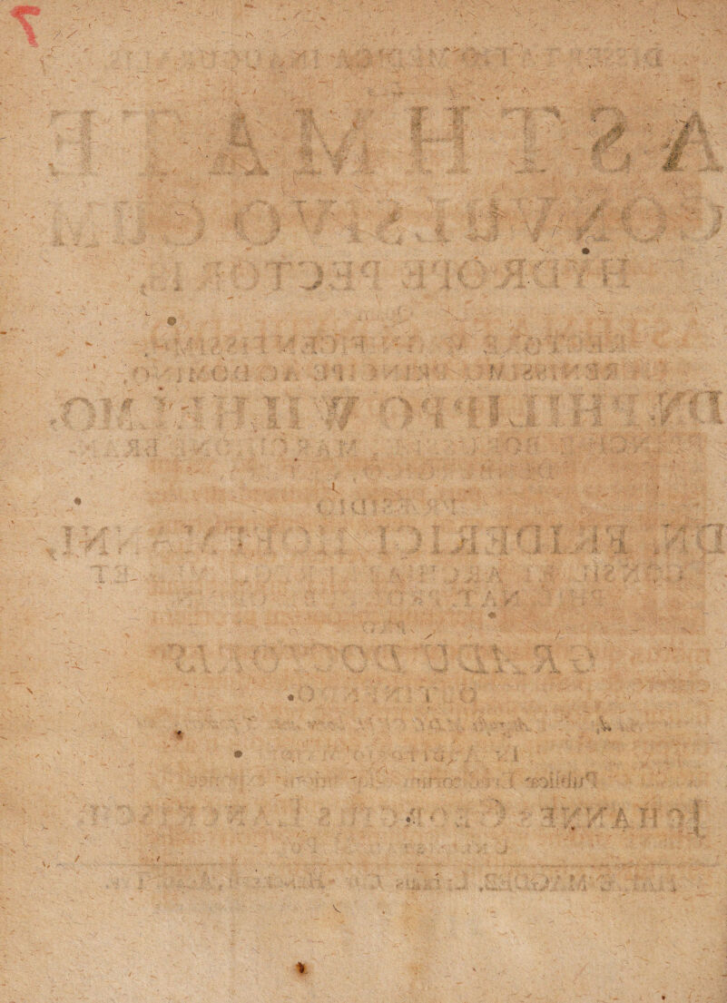 « - * < V'f *lr s *• \ r% ■ t ‘4i> * V * t