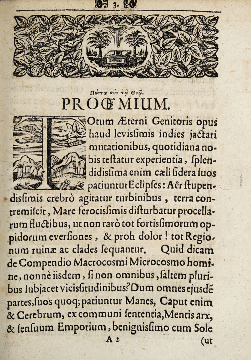 r v -v Tlecyrx rvv *rw Ssca» PROCE MIUM. Otum /Eterni Genitoris opus haud levisiimis indies ja&ari mutationibus, quotidiana no* bis teftatur experientia, Iplen- didisfimaenim cadi fidera iuos paciuntutEcliples: ASrftupen- disfimis crebro agitatur turbinibus, terra con- tremilcit, Mare ferocisfimis difturbatur procella¬ rum fluxibus, ut non raro tot fortisfimorum op¬ pidorum everfiones, & proh dolor! tot Regio* num ruinae ac clades fequantur, Quid dicam de Compendio Macrocosmi Microcosmo homi¬ ne, nonne iisdem, fi non omnibus,feltem pluri¬ bus lubjacetvicisfitudinibusfDum omnes ejusde partes,fuos quoq; patiuntur Manes, Caput enim & Cerebrum, ex communi fententia,Mentis arx, (enfuum Emporium, benignisfimo cum Sole A z (ut ; m 3. m