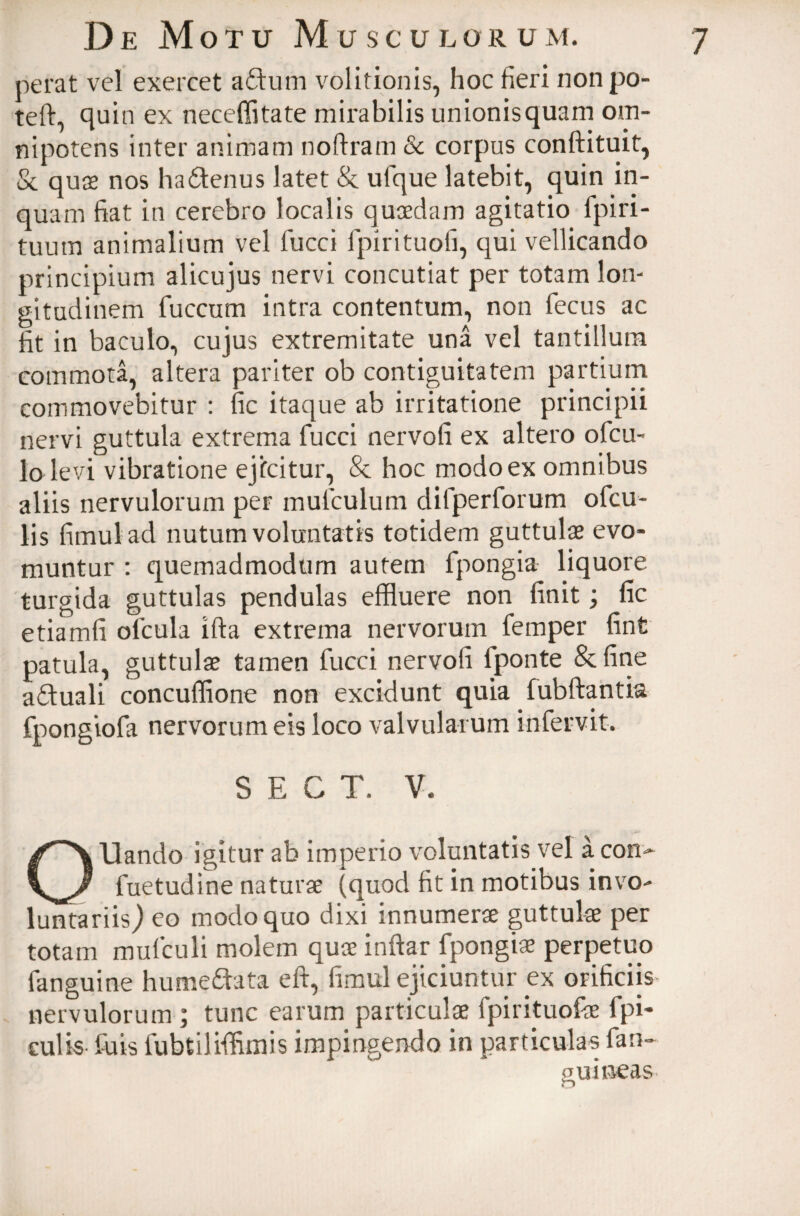 perat vel exercet aduna volitionis, hoc fieri nonpo- teft, quin ex neceffitate mirabilis unionisquam om¬ nipotens inter animam noftram & corpus conftituit, & quae nos hadenus latet & ulque latebit, quin in¬ quam fiat in cerebro localis quaedam agitatio fpiri- tuurn animalium vel fucci fpirituofi, qui vellicando principium alicujus nervi concutiat per totam lon¬ gitudinem fuccum intra contentum, non fecus ac fit in baculo, cujus extremitate una vel tantillum commota, altera pariter ob contiguitatem partium commovebitur : fic itaque ab irritatione principii nervi guttula extrema fucci nervofi ex altero ofcu- lo levi vibratione ejicitur, & hoc modo ex omnibus aliis nervulorum per mulculum difperforum ofcu- lis fimulad nutum voluntatis totidem guttulae evo¬ muntur : quemadmodum autem fpongia liquore turgida guttulas pendulas effluere non finit; fic etiamfi olcula ifta extrema nervorum femper fint patula, guttulae tamen fucci nervofi lponte & fine aduali concuffione non excidunt quia fubftantia fpongiofa nervorum eis loco valvularum infervit. $ E C T. V. OUando igitur ab imperio voluntatis vel a con<- fuetudine naturae (quod fit in motibus invo¬ luntariis,) eo modo quo dixi innumerae guttulae per totam mufculi molem quae inftar fpongiae perpetuo fanguine humedata eft, fimul ejiciuntur ex orificiis nervulorum ; tunc earum particulae fpirituofae fpi- culis- fuis fubtilifflmis impingendo in particulas fan- ouineas o