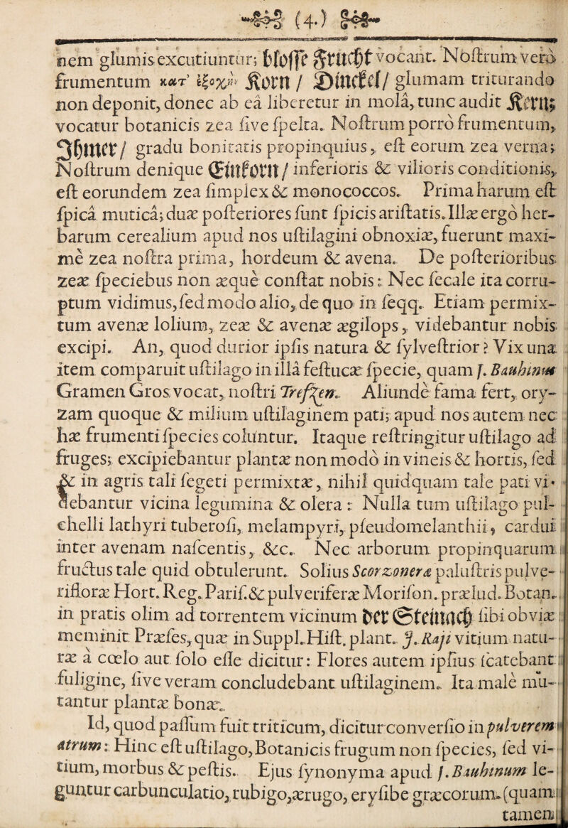(4-) 148*^ fiem gliuiiisexcutiuntur; ^fUd^t^ocant. Noftrumvem frumentum k«t / ©lUCf^1/ glumam triturando non deponitj donec ab ea liberetur in mola, tunc audit vocatur botanicis zea fivefpeka. Noftriim porro frumentum, gtadu bonitatis propinquius, eft eorum zea verna; Noflrum denique (JuifOnt / inferioris vilioris conditionis, eft eorundem zea fimplex 6c monococcos. Primabarum eft fpica mutica; duicpofterioresfunt fpicisariftatisJlIxergd her¬ barum cerealium apud nos uftilagini obnoxiae, fuerunt maxi¬ me zea noftra prima, hordeum &: avena. De pofterioribus; zeae fpeciebus non seque conftat nobis s Nec fecale ita corru¬ ptum vidimus,fedmodo alio, dc quo in feqq. Etiam permix¬ tum avense lolium, zese &: avenae segilops, videbantur nobis; excipi. An, quod durior ip/is natura & fylveftrior > Vix una item comparuit tiftiiago in illa feftucae fpecie, quam f. Bauhmm Gramen Gros; vocat, noftri Aliunde fama fert, ory-- zam quoque & milium uftilaginem pati; apud nos autem nec hx ffumentifpecies coluntur. Itaque reftringitur uftilago ad fruges; excipiebantur planta non modo in vineis & hortis, fed u te in agris tali fegeti permixtse, nihil quidquam tale pati vi’ ebantur vicina legumina Sc olera : Nulla cum uftiiago piil- ehelli lathyri tuberoii, melampyri, pfeiidomelanthii? cardui inter avenam nafcentis, &:c.. Nec arborum propinquaruni it frudus tale quid obtulerunt. Solius Scorzofjcra paliiftris piilve- * riflora Hort. Reg. Parif &pulveriferte Morifbn. proludo Botan^i in pratis olim ad torrentem vicinum bCt (StCUW^ hbi obvi^ i: meminit Pr^fes,quae in Suppl..Hift. piant. vitium natu¬ rae a coelo autfolo elle dicitur: Flores autem ipfius (catebantii fuligine, iive veram concludebant uftilaginem. Ita male mu¬ tantur plantcX bonar.. Id, quod paflum luit triticum, diciturconveriio in pulverem atrum: Hinc eft uftilago,Botanicis frugum non fpecies, fed vi-t tium, morbus peftis. Ejus fynonyma apud /. Bmhmum le-; guutur carbunculatio, rubigo,^rugo, eryfibe gra:corum»(quami[ tameni