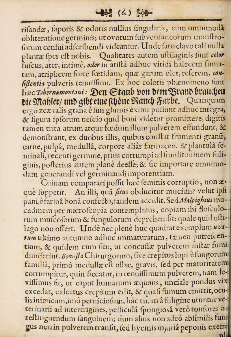 rifandx, faporis & odoris nullius finguiaris, cum omnimodi obliteradone germinis; ut ovorum fubvencaneorum monftro- forum cenfuiadfcribendi videantur. Unde fato clavo tali nulla planta; fpes eft nobis. Qualitates autem uftilaginis funt color fufcus, ater, intime, in arifta adhuc viridi halecem fuma¬ tam, atriplicem forte foetidam, qux garum olet, referens, con- ftfictom pulveris tenuiffimi. Ex hoc coloris phxnomeno funt li£EC Tibermmontam: ©ftt (Staub toon ferauc^ieii tte SPtrtWer/ imD (jiW e(ne Jar&e. Qiianquam ergo zcx talis grana e fuis glumis eximi poiiimc adhuc integra, & figura ipforum nefeio quid boni videtur promittere, digitis tamen trica atrum atque f(^dum illum pulverem effundunt, &: demonftrant, ex duobus illis, quibus conflat frumenti granu, carne, pulpa, medulla, corpore alias farinaceo, dcplantula fe¬ minali, recenti germine, prius corrumpi adiimilitudinem fuli- ginis,pofl:erius autem plane deeffe;& iic importare omnimo¬ dam generandi vel germinandi impotentiam. Ciiinam compararipoffit harcfeminis corruptio, non x* que fuppetit. An illi, qua fitus obducitur mucidis? velut ipfi panfe farina bona confefto,tandem accidit. ScdMdpighius mu- - cedinempermicrofcopia contemplarus, copiam ibi fiofculo--* rum mufeoforum <Sc fungulorum deprehendit; quale quid ufli-' lago non offert. Unde nec plene huc quadrat exemplum uva^- ultimo autumno adhuc immaturarum, tamen putrefccn- tium, quidem cum fitu, ut concufl'^ pulverem inftar fumi’ dimiferint. Bov^/Ia Chirurgorum, five crepitus lupi efungorum: familia, primo medullseeft albae, gravis, fed per maturitatem: corrumpitur, quin ficcacur, in tenuiffimum pulverem, nam le- viflimus fit, ut caput humanum sequans, unciale pondus vix excedat, calcatus crepitum edit, qiiaii fumum emittit, ocii-: Iis inimicum,imo perniciofum, hac tn. atra fuligine utuntur ve-:: terinarii ad intertrigines, pellicula fpongiosa verdtonfores aai reftingLiendiim ianguinems dum alius non adeo abfimilis funli gus non in pulverem cranfit, fed hyemisinjui ia peponis exem^