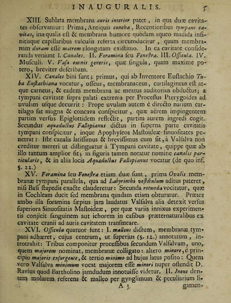 f XIII. Sublata membrana auris interior patet , in qna duae cavita-- t€s obfervantLir; Prima,Antiquis concha, Rccentioribus tympam ca* vttas^ inaequalis efi: membrana humore quodam aqueo madida infi¬ nitisque capillaribus vafculis referta circumducitur , quam membra¬ nam duram efle matrem elongaram ex illimo. In ea cavitate confide- randa veniunt I. Canales. II. Foramina fcu Feneflra. lil. Officula. IV. Mufculi. V. Fafa omnis generis^ quae fingula, quam maxime po¬ tero, breviter deferibam. XIV. Canales bini funt; primus, qui ab Inventore Eufiachio Tw- ba Euftachiana vocatur, ofieus, membranaceus, cartilagineus cfl at¬ que carneus, & eadem membrana ac meatus auditorius obdudlusj a tympani cavitate fupra palati extrema per ProcelTus Pterygoides ad uvulam ufque decurrit : Prope uvulam autem e diredlo narium car¬ tilago fat magna & concava confpicitur , quae aerem impingentem partim verfus Epiglottidem reflcdlit, partira aurem ingredi cogit. Secundus aqu<£duBus Fallopianus didlus in fuperna parte cavitatis- tympani confpicitur , inque Apophyfeos Malloide^-finuofitates pe¬ netrat: Ille canalis latifiirnus & brevifiimus cum fit,a Valfalva non creditur mereri ut diflinguatur a Tympani cavitate, quippe quas ab illo tantum amplior fit> in figuris tamen notatur nomine canalis par* iicularis, 6c in aliis locis j^qudiduHfis Fallopianus vocatur (de quo inf, §. iz.) XV. Foramina feu Feneflra etiam duas funt , prima Ovatis mem¬ brana: tympani parallela, qua ad Labyrinthi veftibulum aditus pateret, nifi Bafi flapedis exa6le clauderetur: Secunda vocitatur, quas in Cochleam ducit fed membrana quadam etiam obturatur. Pr^tes ambo illa foramina faspius jam laudatus Valfalva alia detexit verfus fuperiora Sinuofitatis Mafioideas , per qute variis innixus experimen* tis conjicit fanguinem aut ichorem in cafibus praeternaturalibus ex cavitate cranii ad auris cavitatem tranfmeare, XVL OJJicuIa quatuor funt: 1. malleus didlum, membranae tym* pani adhaeret, cujus centrum, ut fuperius (§. 12.) annotatum , in- trotrahit: Tribus componitur procellibus fecundum Valfalvam, uno^, quem majorem nominat, membrana colligato: altero minoreprin¬ cipio majoris exfurgente tertio minimo ad hujus latus pofito : Qtiem vero Valfalva minimum vocat majorem effe minori nuper oftendic D. Ravius quod Bartholino jamdudum innotuifle videtur. 11. Inem den¬ tem molarem referens & malleo per gynglimum & peculiarium Ib