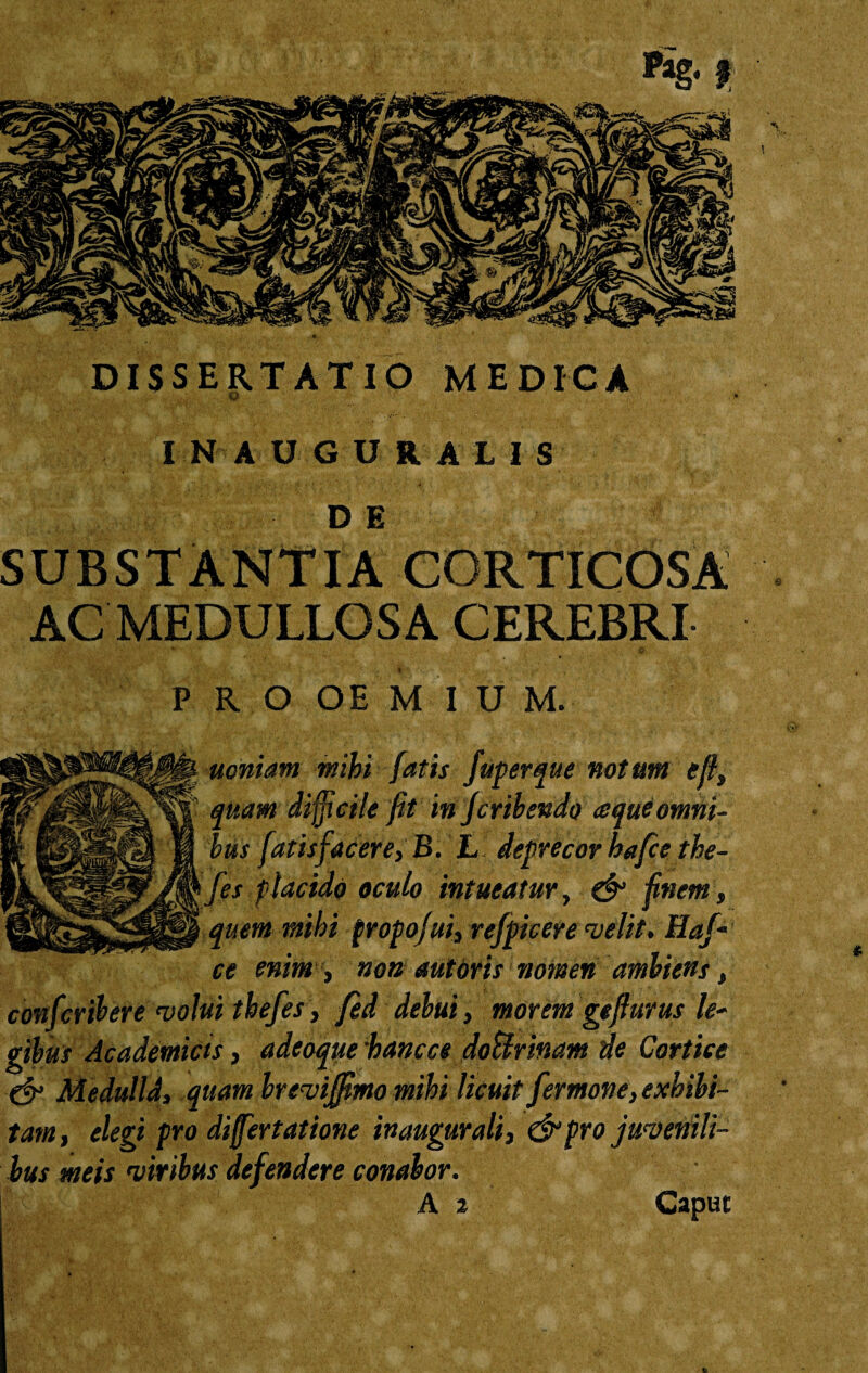 IN AUGURALIS DE SUBSTANTIA CORTICOSA AC MEDULLOSA CEREBRI P R O OEM IUM. uoniam mihi fatis fuperque notam e fi, quam difficile fit injcribendo <eque omni¬ bus fatisf acere, B. L deprecor hafce the- fes placido oculo intueatur, & finem, quem mihi propofui, refpicere velit, Haf • ce enim, non aut oris nomen ambiens, confer il er e volui thefes, fed debui, morem geflurus le¬ gibus Academicis, adeoque hanc ce doBrinam de Cortice & Medulla, quam brevijfimo mihi licuit f emone, exhibi¬ tam, elegi pro difertatione inaugurati, & pro juvenili¬ bus meis viribus defendere conabor. A 2 Caput