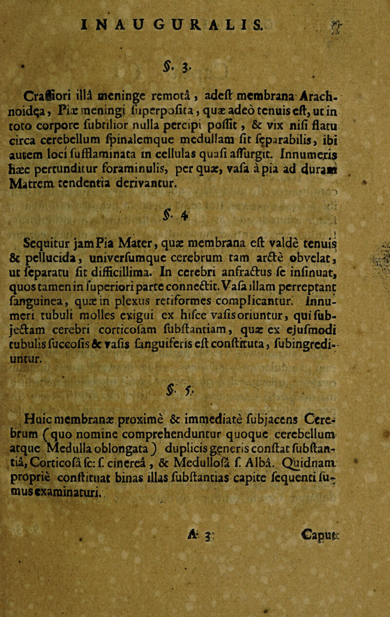 IN AUGURALIS,- W .1 .. • v • 4* • , ' * §' J* vi? f': .. v .. t Crafiori illi meninge remoti > adeft membrana Arach¬ noidea » Pix meningi fuperpafita, qux adeo tenuis cft, ut in toto corpore fubnlior nulla percipi polfit > & vix nifi flatu circa cerebellum fpinalcmque medullam flt feparabilis, ibi autem loci fufflaminata in cellulas quafi aflurgit. Innumeris hsc pertunditur foraminulis, per qux, vafa apia ad duram Matrem tendentia derivantur. * §■ 4 • . • - > Sequitur jam Pia Mater, quas membrana eft valde tenuis , & pellucida 3 univerfumque cerebrum tam arfte obvelat % utfcparatu fit difficillima. In cerebri anfra&us fc infinuat, quos tamenin fuperiori parte connc&it. Vafa illam perreptant fanguinea, quse in plexus retiformes complicantur. Innu¬ meri tubuli molles exigui ex hifce vafisoriuntur, quifub- jeftam cerebri corcicofam fubfiantiam, qu^ ex ejufmodi tubulis fuceofis & vafis ianguiferiseftconftituta, fubingredi- untur. y • • • Huic membranas proxime & immediate fubjacens Ccrc* brum (quo nomine comprehenduntur quoque cerebellum atque Medulla oblongata ) duplicis generis confiat fubftan- tia, Corticofifc: f. cinerea , & Medullofa f. Alba. Quidnam; ® proprie conftituat binas illas fubftancias capite fcquencifu^ mus examinaturi. ‘, ■’ * . A 3' Caput: