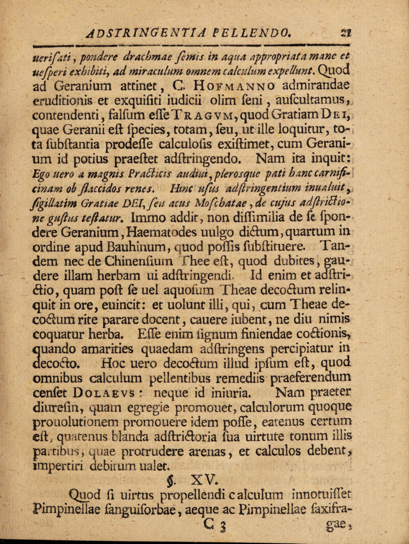 tterifati, pondere drachmae fimis in aqua appropriata mane et ■uefperi exhibiti, ad miraculum omnem calculum expellunt. Quod ad Geranium attinet, C. Hofmanno admirandae eruditionis et exquifiti indicii olim feni, aufcultamus, contendenti, faifum efle Tragvm, quod Gratiam Dei, quae Geranii eft fpecies, totam, feu, ut ille loquitur, to¬ ta fubftantia prodefle calculofis exiftimet, cum Gerani- um id potius praeftet adftringendo. Nam ita inquit: Ego uero a magnis Praffixis audtui, plerosque pati banc carnifi¬ cinam ob flaccidos renes. Hinc ufhs adflrmgen tium ima luit, figillatim Gratiae DEI, feu acus Mofchatae, de cujus adflriffiio- ne guflus te flatur. Immo addit, non diffimilia de ft fpon- dere Geranium, Haematodes uulgo diflum, quartum in ordine apud Bauhinum, quod poflis fubftituere. Tan¬ dem nec de Chinenfiurn Thee eft, quod dubites, gau¬ dere illam herbam ui adftringendi. Id enim et adftri- <ftio, quam poft fe uel aquofum Theae decoHum relin¬ quit in ore, euincit: et uolunt illi, qui, cum Theae de- cofium rite parare docent, cauere iubent, ne diu nimis coquatur herba. Effe enim lignum finiendae cocionis, 3uando amarities quaedam adftringens percipiatur in eco<fto. Hoc uero decoftum illud ipfum eft, quod omnibus calculum pellentibus remediis praeferendum cenfet Dolaevs : neque id iniuria. Nam praeter diurefin, quam egregie promonet, calculorum quoque prouolutionem promouere idem pofTe, eatenus certum eft, quatenus blanda adftriHoria fua uirtute tonum illis Pa- cibus, quae protrudere arenas» et calculos debent> Impertiri debitum ualet.. §. XV. Quod fi uirtus propellendi c alculum innotuiflet Pimpinellae fanguiforbae, aeque ac Pimpinellae faxifra- G 3 gae»