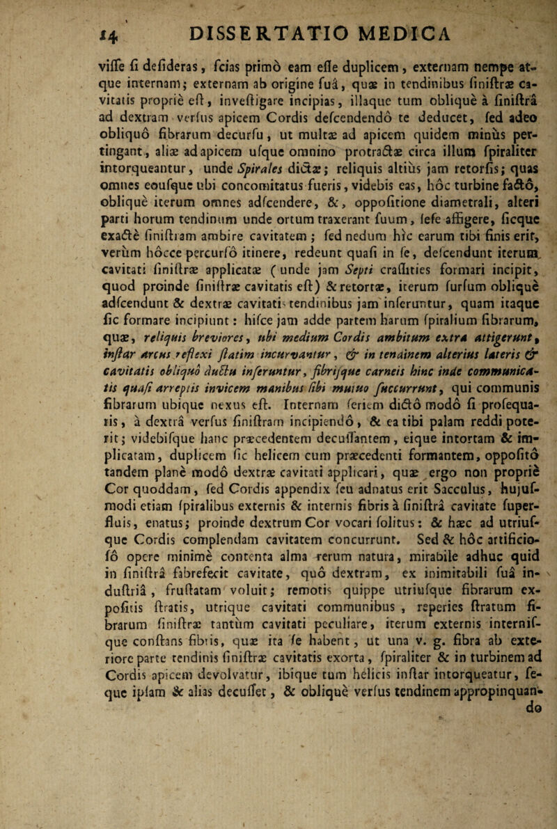 vifle fi defideras, fcias primo eam efle duplicem , externam nempe at¬ que internam; externam ab origine fu&, quae in tendinibus finiftrae ca¬ vitatis proprie eft, inveftigare incipias, iliaque tum oblique a finiftra ad dextram verfus apicem Cordis defcendendo te deducet, fed adeo obliquo fibrarum decurfu, ut multae ad apicem quidem miniis per¬ tingant, aliae ad apicem ufque omnino protra&ae circa illum fpiralitcr intorqueantur, unde Spirales dictae; reliquis altius jam retorfis; quas omnes eoufqueubi concomitatus fueris, videbis eas, hoc turbine fa&6, oblique iterum omnes adfcendere, &, oppofitione diametrali, alteri parti horum tendinum unde ortum traxerant fuum, fefe affigere, ficque exade finiftram ambire cavitatem ; fed nedum hic earum tibi finis erif, verum hocce percurfo itinere, redeunt quafi in fe, delcendunt iterum cavitati finiftrae applicatae (unde jam Septi craffities formari incipit, quod proinde finiftrae cavitatis eft) & retortae, iterum furfum oblique adfcendunt & dextrae cavitati'tendinibus jam inferuntur, quam itaque fic formare incipiunt: hifce jam adde partem harum fpiralium fibrarum, quae, reliquis breviores, tibi medium Cordis ambitum extra attigerunt, tnftar arcus reflexi fiatim incurvantur, & in tenamem alterius lateris & cavitatis obliquo duElu inferuntur, fibrijque carneis hinc inde communica¬ tis quafi arreptis invicem manibus Cibi mutuo fuccurrunt, qui communis fibrarum ubique nexus eft. Internam feriem dido modo fi profequa- ris, a dextra verfus finiftram incipiendo, & ea tibi palam reddi pote¬ rit; videbifque hanc procedentem decuifantem, eique intortam & im¬ plicatam, duplicem fic helicem cum praecedenti formantem, oppofito tandem plane modo dextrae cavitati applicari, quae ergo non proprie Cor quoddam , fed Cordis appendix feu adnatus erit Sacculus, hujuf- modi etiam fpiralibus externis & internis fibris \ finiftra cavitate fuper- fluis, enatus; proinde dextrum Cor vocari folitus: & haec ad utriuf* que Cordis complendam cavitatem concurrunt. Sed & h6c artificio- 16 opere minime contenta alma rerum natura, mirabile adhuc quid in finiftra fabrefecit cavitate, quo dextram, ex inimitabili fua in- ' duftria , fruftatam voluit; remotis quippe utriufque fibrarum ex- pofitis ftratis, utrique cavitati communibus , reperies ftratum fi¬ brarum finiftra: tantum cavitati peculiare, iterum externis internif- que confhns fibris, quae ita (e habent, ut una v. g. fibra ab exte¬ riore parte tendinis finiftrae cavitatis exorta, fpiraliter & in turbinem ad Cordis apicem devolvatur, ibique tum helicis inftar intorqueatur, fe- que iplam & alias deeuflet, & oblique verfus tendinem appropinquan-