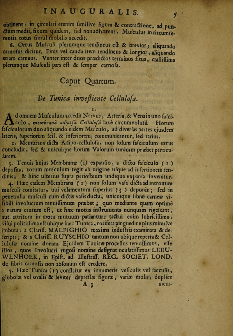 ' I N AUGURAL I S. , obtinent; in grculari etenim fimilive figura & contradione» ad pun« dum medii, fixum quidem, fed non adhaerens, Mufculus in circumfe¬ rentia totus fimul mobilis accedit. 6. Ortus Mufculi plerumque tendineus eft & brevior,- aliquando carnofus dicitur. Finis vel cauda item tendineus & longior, aliquando etiam carneus. Venter inter duos praedidos terminos ficus, crafliflima plerumque Mufculi pars eft & femper carnofa. Caput Quartum. De Tunica imtejliente Cellulofa. I. Ad omnem Mufculum accedit Nervus, Arteria,& Vena in uno fa fer¬ culo , membrana adipofd Cellulofa laxe circumvoluta. Horuro fafciculorum duo aliquando eidem Mufculo, ad diverfas partes ejusdem lateris, fuperiorem fcil. & inferiorem, communicantur, fed rarius. 2. Membrana dida Adipo-cellulofa, non folum fafciculum extus concludit, fed & unicuique horum Vaforum tunicam praebet particu¬ larem. 3. Tenuis hujus Membranae (1) expanfio, a dido fafciculo ( 1 ) depofita, totum mufculum tegit ab origine ufque ad infertionem ten¬ dinis; & hinc ulterius fupra periofteum undique expanfa invenitur. 4. Haec eadem Membrana ( 1) non folum vafa dida ad introitum mufculi comitatur, ubi velamentum fuperius (3 } deponit; fed in penetralia mufculi cum didis vafisduda, unicuique fibrae carneae vi- fibili involucrum tenuiffimum praebet; quo mediante quam optime a natura cautum eft, ut haec motus inftrumenta nunquam rigelcant, aut attritum in motu mutuum patiantur : tadui enim lubriciflima , vifui politiffima eft ubique haec Tunica, rorifera pinguedine plus rninufve imbuta: a Clariff. MALPIGHIO maxima induftria examinata &de~ ficripta; & a ClarifT. RUYSCHIO tantum non ubique reperta & Cei- lulofae nomine donata. Ejufdem Tunicae proceflfus renuiffimos, eflfe illos , quos Involucri rugofi nomine defignat oculatiflimus LEEU- WENHOEK, in Epift. ad IlluftrilT. REG. SOCIET. LOND, de fibris carnofis non abfonum eft credere. 5. Hasc Tunica (i) conflatur ex innumeris veficulis vd faeculis, Iglobofae vd ovalis & leviter depreffae figurae, variae molis, duplice