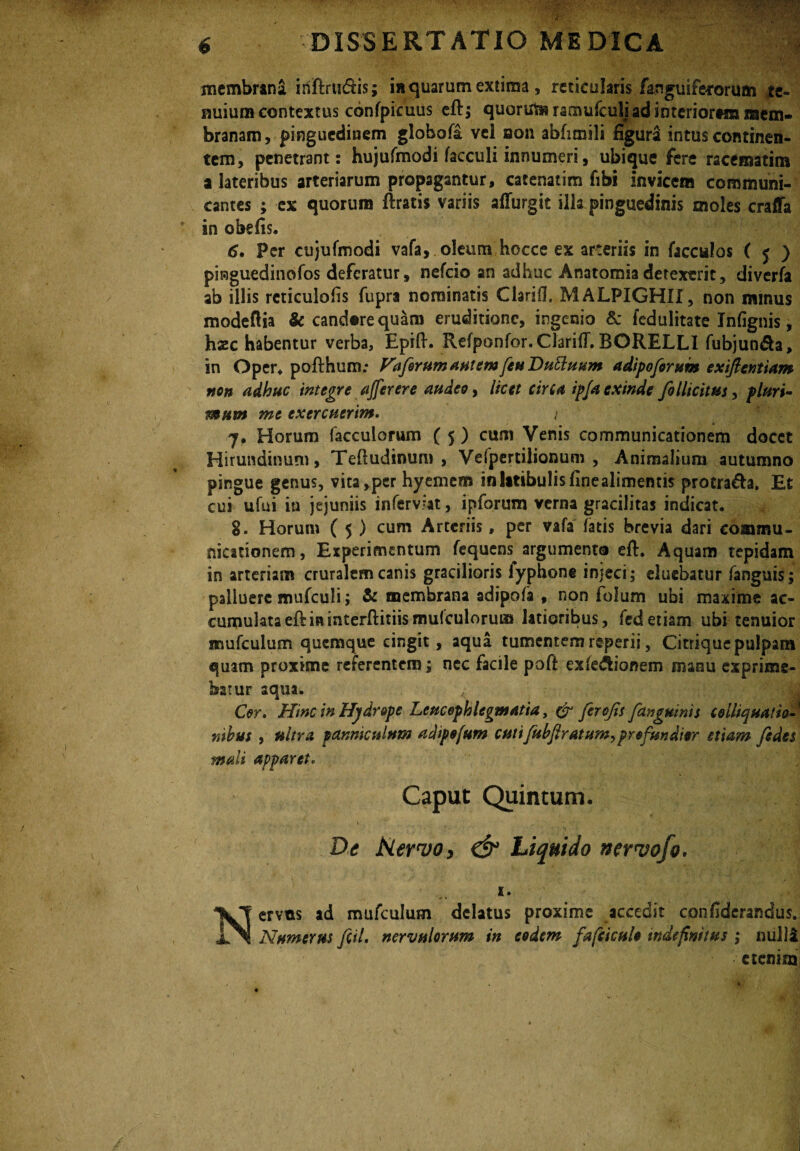 membrana inftrudis; in quarum extima, reticularis fanguifeTorum te¬ nuium contextus confpicuus eft; quorut» ramufculi ad interiortm mem¬ branam, pinguedinem globofa vel aon abfimili figura intus continen¬ tem, penetrant: hujufmodi facculi innumeri, ubique fere racematim a lateribus arteriarum propagantur, catenatim fibi invicem communi¬ cantes ; ex quorum Aratis variis affurgit illa pinguedinis moles crafla in obelis. 6. Per cujufmodi vafa, oleum hocce ex arteriis in facculos ( f ) pinguedinofos deferatur, nefeio an adhuc Anatomia detexent, diverfa ab illis rcticulofis fupra nominatis Clarifl, MALPIGHII, non minus modeftia & candere quam eruditione, ingenio & fedulitate Infignis, hzc habentur verba, Epift. Refponfor. ClarilT. BORELLI fubjun&a, in Oper* pofthum; Vafer amantem feu Dutluum adipoferum exiflentiam aon adhuc integre affer er e audeo, licet circa ipja exinde fellicitus, pluri¬ mum me exercuerim. / 7. Horum facculorum ( 5) cum Venis communicationem docet Hirundinum, Tefiudinum , Vefpertilionum , Animalium autumno pingue genus, vita,per hyemem in latibulis finealimentis protra&a. Et cui ufui in jejuniis inferviat, ipforum verna gracilitas indicat. 8. Horum ( 5 ) cum Arteriis, per vafa fatis brevia dari commu¬ nicationem, Experimentum fequens argumento eft. Aquam tepidam in arteriam cruralem canis gracilioris lyphone injeci; eluebatur fanguis; palluere mufculi; & membrana adipofa , non folum ubi maxime ac¬ cumulata eftininterfiniismulculorutn latioribus, fcdetiam ubi tenuior mufculum quemque cingit, aqua tumentem reperii, Citrique pulpam quam proxime referentem; nec facile poft exfedfcionem manu exprime¬ bar ur aqua. Cor, Hinc in Hydrope Leucophlegmatia, (V ferofes /anguinis colit quatio nihus , ultra panniculum adipofum cutifuhfiratum^profundior etiam fides mali apparet. Caput Quintum. De Nervo, & Liquido nervofo. X. Nervos ad mufculum delatus proxime accedit confiderandus. Numerus feiL nervulorum in eodem fafciculo indefinitus ; nulli etenim