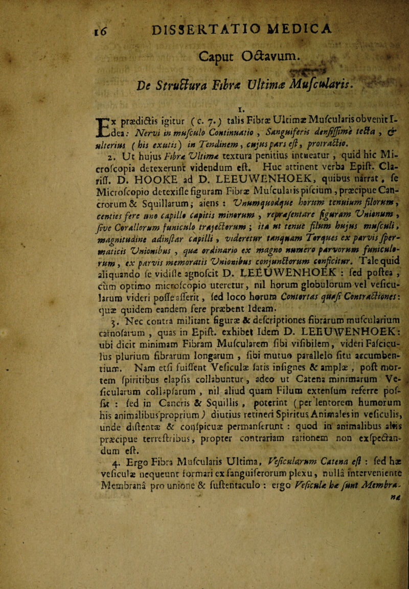 ‘k , * Caput Odavum. , De StruBura Fibrx Ultima Mufcularts. '■ - I. Ex praedicis igitur (c. 7.) talis Fibrae UkimxMufcuhrisobvenitI- dea; Nervi inmufculo Continuatio , Sanguiferk dtnfijjime tefta , <*• ulterius ( his exutis) m Tendinem, />*r; efi, protrahito. z. Ut huius Vltima textura penitius intueatur, quid hic Mi- crofcopia detexerunt videndum eft. Huc attinent verba Epift. Cla- rifT. D. HOOKE ad D. LEEUWENHOEK, quibus narrat, fe Microfcopio detexifle figuram Fibrx Mufcularispifcium, pr^cipue Can¬ crorum & Squillarum i aiens: ZUnumquodque horum tenuiumfilorum, centies fere uno capillo Capitis minorum , repr a Jentare figuram Vnionum , five Corallorum funiculo tractiorum ; ita ut tenue filum hujus mufculi, magnitudine adinfiar capilli , videretur tancjuam Torques ex parvis Jper- maticis Vnionihus , qua ordinario ex magno numero parvorum funiculo¬ rum, ex parvis memoratis Vnionihus conjuntiorum conficitur. Tale quid aliquando fe vidifle agnofeit D. LEEUWENHOEK : fed poftea , cum optimo microfcopio uteretur, nil horum globuloruruvel veficu- hrura videri pofTe sfTerit, fed loco horuro Contortas quafi Contratiiones: quas quidem eandem iere praebent Ideam. „ 3. Nec contra militant figurae & deferiptiones fibrarum mufcularium carnofanim , quas in Epift. exhibet Idem D. LEEUWENHOEK: ubi dicit minimam Fibram Mufcularem fibi vifibiiem, videri Fafcicu- Jus plurium fibrarum longarum , libi mutuo parallelo fitu accumben¬ tium. Nam etia fuiflent Veficulae fatis infignes & amplae , poft mor¬ tem fpiritibus elapfis collsbuntur, adeo ut Catena minimarum Ve-1 ficularum coibpfarum , nil aliud quam Filum extenfum referre pof- fk : fed in Cancris & Squillis , poterint (per lentorem humorum His animalibuspropriumj diutius retineri Spiritus Animalesin veficulis, unde dsftentae St confpicuse permanferujnt : quod in animalibus altis praecipue terreftribus, propter contrariam rationem non exfpedan- dum eft. ' 4. Ergo Fibra Mufcularis Ultima, Veficularnm Catena eft : fed hx veficulae nequeunt formari exfanguiferorum plexu, nulla interveniente Membrana pro unione & fuftentaculo : ergo VeficuU ha funt Membra*