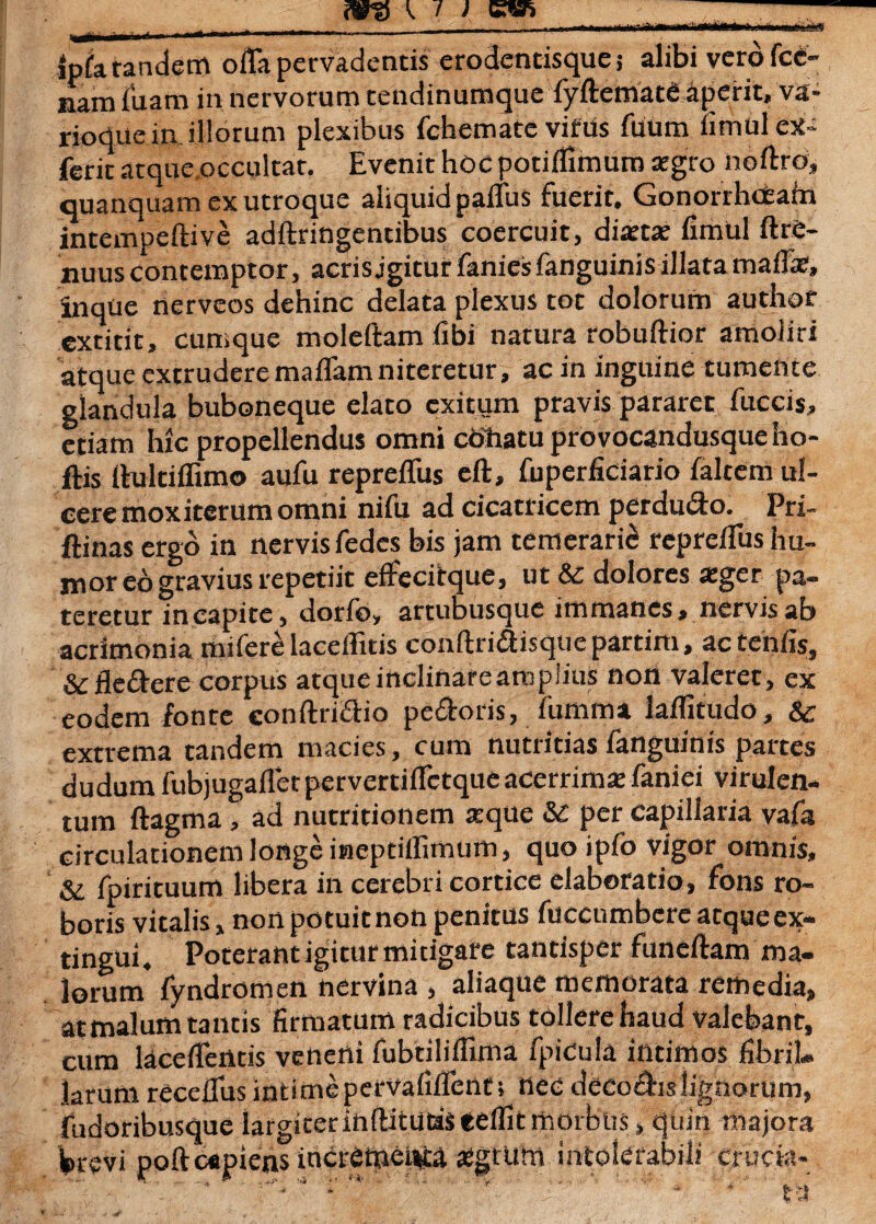 ftrti \ / ; ■«Jili r—!■' '» _ * ..  <im*l tm • II ’ jpfa tandem offa pervadentis erodentisque 5 alibi vero fcc- nam luam in nervorum rendinumque fyftemate aperit, va- rioque in iliorum plexibus fchematc viriis fuum fimulex- ferit atque occultar. Evenit hoc potiflimum aegro noftrd, quanquam ex utroque aliquid paffus fuerit. Gonorrhatain intempeftive adftringentibus coercuit, diaetae fimul ftre- nuus contemptor, acrisjgiturfaniesfanguinisillatamaffae, inque nervcos dehinc delata plexus tot dolorum audior extitit, cumque moleftam libi natura robuftior amoliri atque extrudere maffamniteretur, ac in inguine tumente glandula buboneque elato exitum pravis pararet fuccis, etiam hic propellendus omni cbhatu provocandusque ho- ftis ffultiffimo aufu repreffus eft, fuperficiario falcem ul¬ cere mox iterum omni nifu ad cicatricem perdudo. Pri- ftinas ergo in nervis fedes bis jam temerarii repreffus hu¬ mor eo gravius repetiit effecitque, ut & dolores xger pa¬ teretur incapite, dorfo, artubusque immanes, nervis ab acrimonia miferelaceffuis conftri&isquepartim, actenfis. & fledere corpus atque inclinareampiius non valeret, ex eodem fonte eonftridio pedoris, fumma laffitudo, & extrema tandem macies, cum nutritias fanguinis partes dudum fubjugaffetpervertiffetqueacerrima: faniei virulen¬ tum ftagma, ad nutritionem seque 8c per capillaria vafa circulationem longe ineptiflimum, quo ipfo vigor omnis, & fpirituum libera in cerebri cortice elaboratio, fons ro¬ boris vitalis, non potuit non penitus fuccumbere atque ex- tingui. Poterant igitur mitigare tantisper funelfam ma— loimm* fyndromen nervina , aliaque memorata remedia, at malum tantis firmatum radicibus tollere haud valebant, cum laceffentis veneni fubtiliffima fpicula intimos fibriL larum receffus intimcpervafiffeut; nec decodis lignorum, fudoribusque largicerinftitutasedfitmorbtis, quin majora brevi poftcapiens incrfitweibca «egtum intolerabili crucia-