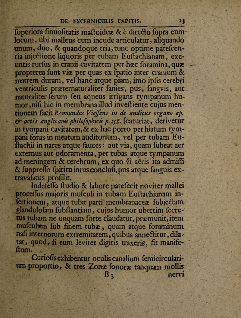 fuperiora finuofitatis maftoidese & e diredo fupra eum locum, ubi malleus cum incude articulatur, aliquando unum, duo, & quandoque tria,tunc optime patefcen- tia injedione liquoris per tubam Euftachianam, exe¬ untis rurfus in cranii cavitatem per haec foramina, quae propterea funt vix per quas ex fpatio inter cranium & matrem duram, vel hanc atque piam, imo ipfis cerebri ventriculis prxternaturaliter fanies, pus, fangvis, aut naturaliter ferum feu aqueus irrigans tympanum hu¬ mor , nifi hic in membrana illud inveftiente cujus men¬ tionem fecit Kemundits VieJJens in de auditus organo ep. & actis anglicanis philofophkk p.sfg. fcaturiat, derivetur in tympani cavitatem, & ex hac porro per hiatum tym¬ pani foras in meatum auditorium, vel per tubam Eu- ftachii in nares atque feuces: aut via, quam fubeat aer externus aut odoramenta, per tubas atque tympanum ad meningem & cerebrum, ex quo vi aeris ita admiffi & fuppreflo fpiritu intus conclufi, pus atque fanguis ex- travafatus profilit. Indefeilo ftudio & labore patefecit novitcr mallei procelfus majoris mufculi in tubam Euftachianam in- fertionem, atque tubse parti' membranaceae fubjedam glandulofem fubftantiam, cujas humor ubertim fecre- tus tubam ne unquam forte claudatur, praemunit, item mufculstn fub finem tubae, quam atque foraminum nafi internorum extremitatem,quibus anneditur,dila¬ tat, quod, fi eum leviter digitis traxeris, fit manife- ftum. . Curiofis exhibentur oculis canalium femicirculari- um proportio, & tres Zonae fonorae tanquam mollis B 3 nervi