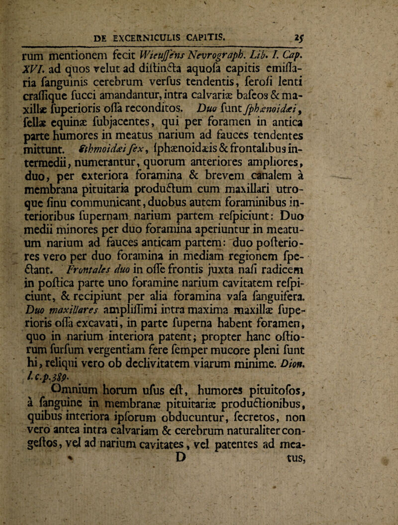 rum mentionem fecit Wieujfens Nevrograpk. Lib. I. Cap. XVI. ad quos velut ad diltindla aquofa capitis cmifla- ria fanguinis cerebrum verfus tendentis, fero/i lenti cralfique fucci amandantur, intra calvaris bafeos& ma¬ xillae fuperioris olla reconditos. Duo funt fphxnotdxiy felis equina fubjacentcs, qui per foramen in antica parte humores in meatus narium ad fauces tendentes mittunt, fthmoidai fex, lphxnoidxis & frontalibus in¬ termedii, numerantur, quorum anteriores ampliores, duo, per exteriora foramina & brevem canalem a membrana pituitaria produ&um cum maxillari utro¬ que finu communicant, duobus autem foraminibus in¬ terioribus fupernam narium partem refpiciunt: Duo medii minores per duo foramina aperiuntur in meatu¬ um narium ad fauces anticam partem: 'duo pofterio- res vero per duo foramina in mediam regionem fpe- ftant. Frontales duo in olfe frontis juxta nafi radicem in poftica parte uno foramine narium cavitatem refpi¬ ciunt, & recipiunt per alia foramina vafa fanguifera. Duo maxillares, ampliilimi intra maxima maxillx fupe¬ rioris offa excavati, in parte fuperna habent foramen, quo in narium interiora patent; propter hanc ollio¬ rum furfum vergentiam fere femper mucore pleni funt hi, reliqui vero ob declivitatem viarum minime. Dion. l'C.p.38?. Omnium horum ufus eft, humores pituitofos, a fanguine in membrana pituitaria productionibus, quibus interiora ipforum obducuntur, fecretos, non vero antea intra calvariam & cerebrum naturaliter con- geftos, vel ad narium cavitates, vel patentes ad mea- * D tus,