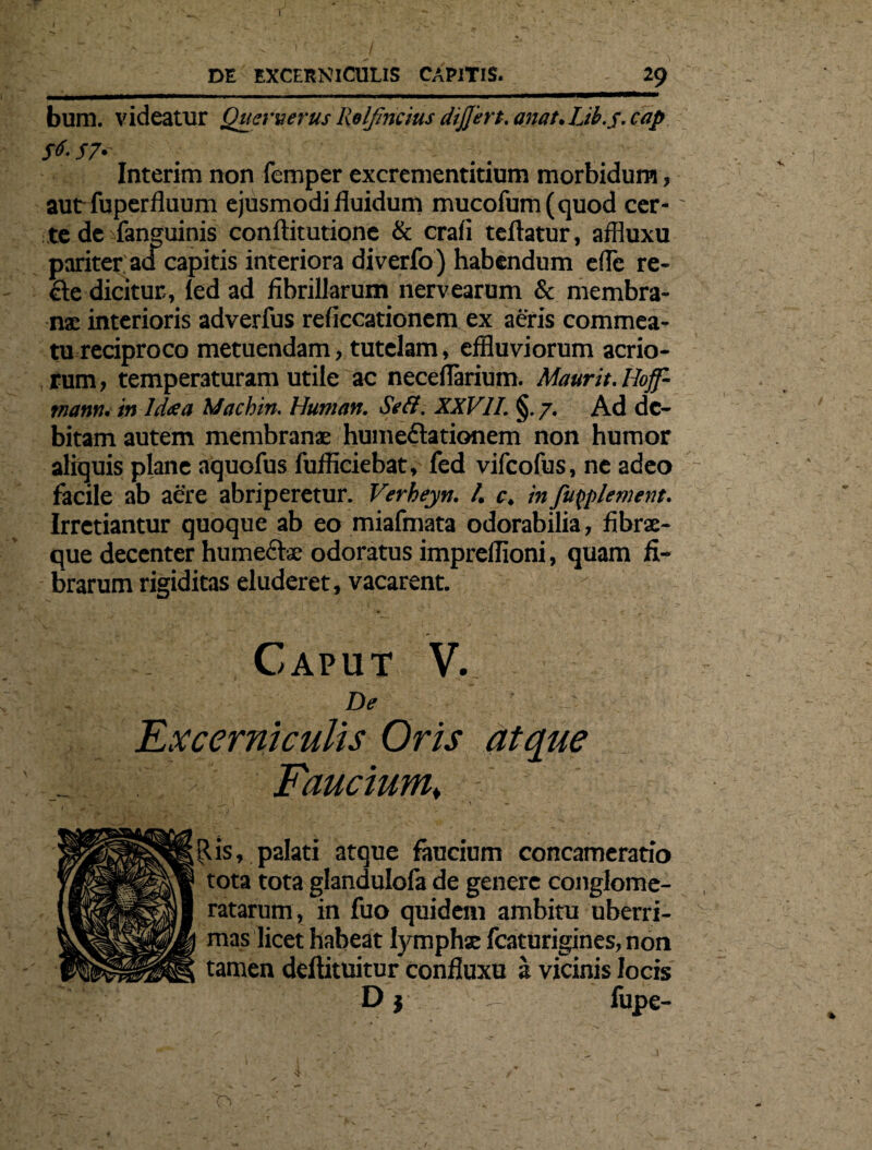 I DE EXCEKNICULIS CAPJTIS. 29 bum. videatur Qucrverus Relfincius dijjert. anat.Lib.s. cap S6- S7 Interim non femper excrementitium morbidum, aut fuperfluum ejusmodi fluidum mucofum(quod cer¬ te de fanguinis conftitutione & crafl teftatur, affluxu pariter ad capitis interiora diverfo) habendum efle re- &e dicitur, led ad fibrillarum nervearum & membra¬ na: interioris adverfus reficcationem ex aeris commea¬ tu reciproco metuendam, tutelam, effluviorum acrio¬ rum , temperaturam utile ac neceflarium. Maurit. Ilojf- tnann. in Idua Machin. Human. Seft. XXVII. §. 7. Ad de¬ bitam autem membranae humeftationem non humor aliquis plane aquofus fufficiebat, fed vifcofus, ne adeo facile ab aere abriperetur. Verheyn. /. c. in fuqplmtnt. Irretiantur quoque ab eo miafmata odorabilia, fibrx- que decenter hume&ae odoratus impreffloni, quam fi¬ brarum rigiditas eluderet, vacarent. Caput V. De Excerniculis Oris atque f . Faucium♦ - Ris, palati atque faucium concameratio tota tota glandulofa de genere conglome¬ ratarum, in fuo quidem ambitu uberri¬ mas licet habeat lymphx fcaturigines, non tamen deftituitur confluxu a vicinis locis D j ^ fupe- 4 b O