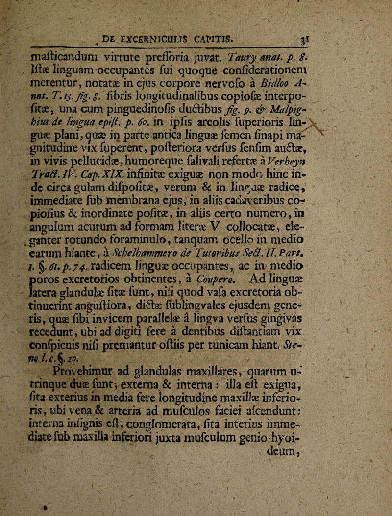 malticandum virtute prefloria jurat. Taury anat. p. g. , llhe linguam occupantes fui quoque conliderationem merentur, notatae in ejus corpore nervcfo a Btdloo A- nat. T.iyfig.g. fibris longitudinalibus copiofae interpo- fitse, una cum pinguedinolis dudtibus fig. g. & Malpig- hius de lingua epift. p. 60. in ipfis areolis liiperioris lin¬ guae plani, qua; in parte antica linguae femen finapi ma¬ gnitudine vix fuperent, pofteriora verfus fenfim au£tse, in vivis pellucidae,humoreque falivali refertae ii Verbeyn 7'raft. IV. Cap. XIX. infinitae exiguae non modo hinc in¬ de circa gulam difpofitae, verum & in linquse radice, immediate fub membrana ejus, in aliis cadaveribus co- piofius & inordinate politae, in aliis certo numero, in angulum acutum ad formam literae V collocatae, ele¬ ganter rotundo foraminulo, tanquam ocello in medio earum hiante, a Schelbanmero de Tutoribus Sed. II. Part. /. §. 6up.74. radicem linguae occupantes, ac im medio poros excretorios obtinentes, a Coupera. Ad linguae latera glandulae litae funt, nili quod vafa excretoria ob¬ tinuerint anguftiora, diftae fublingvales ejusdem gene¬ ris , quae fibi invicem parallelae a iingva verfus gingivas recedunt, ubi ad digiti fere a dentibus diftantiam vix confpicuis nili premantur oftiis per tunicam hiant. Ste- no /. c. §. 20. Provehimur ad glandulas maxillares, quarum u- trinque duae funt, externa & interna: illa elt exigua, lita exterius in media fere longitudine maxillae inferio¬ ris, ubi vena & arteria ad mufculos faciei afcendunt: interna inlignis elt, conglomerata, lita interius imme¬ diate fub maxilla inferiori juxta mufculum genio-hyoi- / deum,