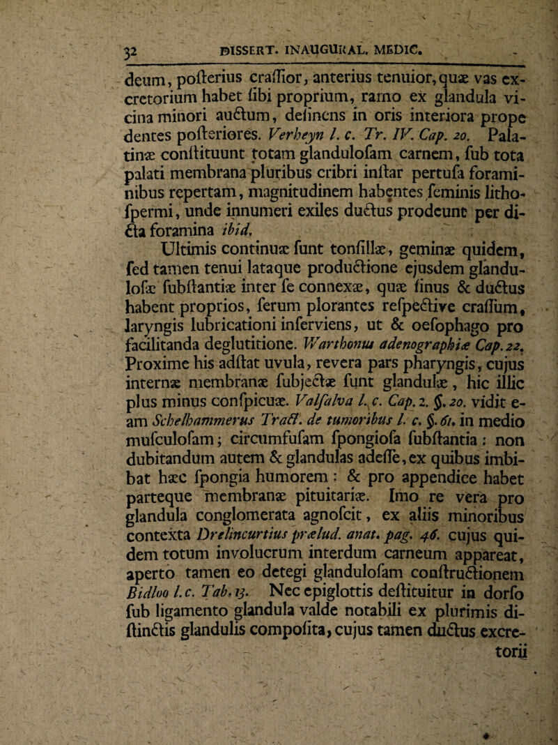 p deum, pofterius craflior, anterius tenuior,quae vas ex¬ cretorium habet libi proprium, rarno ex glandula vi¬ cina minori au&um, delinens in oris interiora prope dentes pofteriores. Verbeyn l. c. Tr. IV. Cap. 20. Pala¬ tinae conllituunt totam glandulofam carnem, fub tota palati membrana pluribus cribri inftar pertufa forami¬ nibus repertam, magnitudinem habentes feminis litho- fpermi, unde innumeri exiles duftus prodeunt per di- £ta foramina ibid. Ultimis continuae funt tonfillae, geminae quidem, fed tamen tenui lataque productione ejusdem glandu- lofac fubftantiae inter fe connexae, quae finus & dudtus habent proprios, ferum plorantes refpective crafium, laryngis lubricationi inferviens, ut & oefophago pro facilitanda deglutitione. Wartbonut adenograpbi<e Cap. 22. Proxime his aditat uvula, revera pars pharyngis, cujus internas membranx fubjectse funt glandulae, hic illic plus minus confpicuae. Valfalva l. c. Cap. 2. $.20. vidit e- am Scbelbammerus Tratt. de tumoribus /. c. 61. in medio mufculofam; circumfufam fpongiofa fubilantia : non dubitandum autem & glandulas adede, ex quibus imbi¬ bat haec fpongia humorem : & pro appendice habet parteque membranx pituitariae. Imo re vera pro glandula conglomerata agnofeit, ex aliis minoribus contexta Drelmcurtius pralud. anat. pag. 46. cujus qui¬ dem totum involucrum interdum carneum appareat, aperto tamen eo detegi glandulofam conftrudtionem Bidho l. c. Tab, ij. Nec epiglottis deftituitur in dorfo fub ligamento glandula valde notabili ex plurimis di- ftinftis glandulis compolita, cujus tamen du£tus excre¬ torii