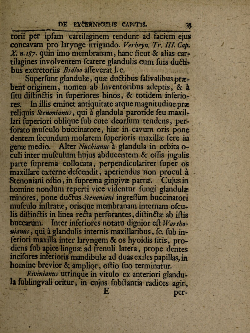■■**—*«—«——mmmm—mmmmmm———*■ mi i .h ■■—■■■ ■*■■ ■■ ■■ ■ torii per ipfam cartilaginem tendunt ad Faciem ejus concavam pro larynge irrigando. Verbeyn. Tr. III. Cap. X. n. 187• quin imo membranam > hanc ficut & alias car¬ tilagines involventem fcatcre glandulis cum fuis duci¬ bus excretoriis Bidloo alleverat 1. c. Superfunt glandulae, quae du£tibus falivalibusprae¬ bent originem, nomen ab Inventoribus adeptis, & k fitu diftinftis in fuperiores binos, & totidem inferio¬ res. In illis eminet antiquitate atque magnitudine prae reliquis Stertonianus, qui a glandula parotide feu maxil¬ lari fuperiori oblique fub cute deorfum tendens, per¬ forato mufculo buccinatore, hiat in cavum oris pone dentem fecundum molarem fu^erioris maxillae fere in genae medio. Alter Nuckiamu a glandula in orbita o- culi inter mufculum hujus abducentem & ollis jugalis parte fuprema collocata, perpendiculariter fuper os maxillare externe defeendit, aperiendus non procul a Stenoniani oftio, in fuprema gingivae partae. Cujus in homine nondum reperti vice videntur fungi glandulae minores, pone dufhls Stenoniani ingrdlum buccinatori mufculo inftratae, orisque membranam internam ofeu- lis diftin&is in linea recta perforantes, diftinfhe ab illis buccarum. Inter inferiores notatu dignior eft Wartho- nianuty qui.a glandulis internis maxillaribus, fc. fub in¬ feriori maxilla inter laryngem & os hyoidis litis, pro¬ diens fub apice linguae ad frenuli latera, prope dentes incifores inferioris mandibulae ad duas exiles papillas, in homine brevior & amplior, oftio fuo terminatur. Rivinianus utrinque in vitulo ex anteriori glandu¬ la fublingvali oritur, in cujus fubftantia radices agit, ,:r E per-