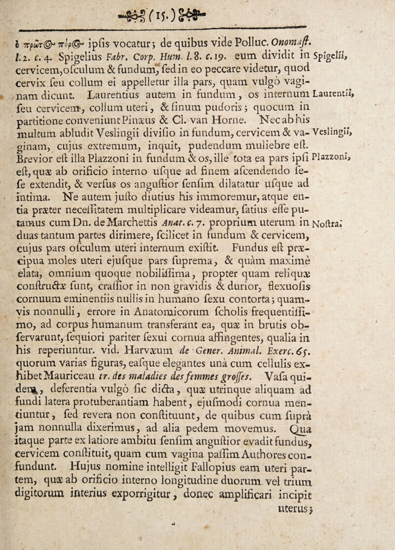 o 7Tf>u>T& 7rop(& ipfis vocatur; de quibus vide Pollue. Onomafl. /.2, c. 4. Spigelius Fabr. Corp. Hum> i 8. c.i^. eum dividit in spigelli, cervicem,ofeuium & fundum, fedin eo peccare videtur, quod cervix feu collum ei appelletur illa pars, quam vulgo vagi¬ nam dicunt. Laurentius autem in fundum, os internum Laurentii, feu cervicem, collum uteri, & linum pudoris; quocum in partitione conveniunt Pinauis & Cl. van Home. Nec ab his multum abludit Yeslingii divifio in fundum, cervicem & va- Veslingli, ginam, cujus extremum, inquit, pudendum muliebre eft. Brevior eft illa Plazzoni in fundum & os, ille tota ea pars ipfi Plazzom, eft, quas ab orificio interno ufque ad finem afeendendo fe~ fe extendit, & verfus os anguftior fenfim dilatatur ufque ad intima. Ne autem jufto diutius his immoremur, atque en¬ tia praeter neceffitatem multiplicare videamur, fatius ede pu¬ tamus cumDn, deMarchettis Anat. c. 7. proprium uterum in Noftra.' duas tantum partes dirimere, fcilicet in fundum & cervicem, cujus pars ofculum uteri internum exiftit Fundus eft prae¬ cipua moles uteri ejufque pars fuprema, & quam maxime elata, omnium quoque nobiliffima, propter quam reliquae conftfiicrte funt, craffior in non gravidis & durior, flexuofis cornuum eminentiis nullis in humano fexu contorta; quam¬ vis nonnulli, errore in Anatomicorum fcholis frequentilii- mo, ad corpus humanum transferant ea, quae in brutis ob- fervarunt, fequiori pariter fexui cornua affingentes, qualia in his reperiuntur. vid. Harveeum de • Gener. Animal. Exerc. 65. quorum varias figuras, eafque elegantes una cum cellulis ex¬ hibet Mauri ceau tr. des maladies desfemmes groffes. Vafa qui- dei%, deferentia vulgo fic dicta, qu& utrinque aliquam ad fundi latera protuberandam habent, ejufmodi cornua men¬ tiuntur, fed revera non conftituunt, de quibus cum fupra jam nonnulla dixerimus, ad alia pedem movemus. Qua itaque parte ex latiore ambitu fenfim anguftior evadit fundus, cervicem conftituit, quam cum vagina paflSmAuthores con¬ fundunt. Hujus nomine intelligit Fallopius eam uteri par¬ tem, quas ab orificio interno longitudine duorum vel trium digitorum interius exporrigitur, donec amplificari incipit - v uterus $