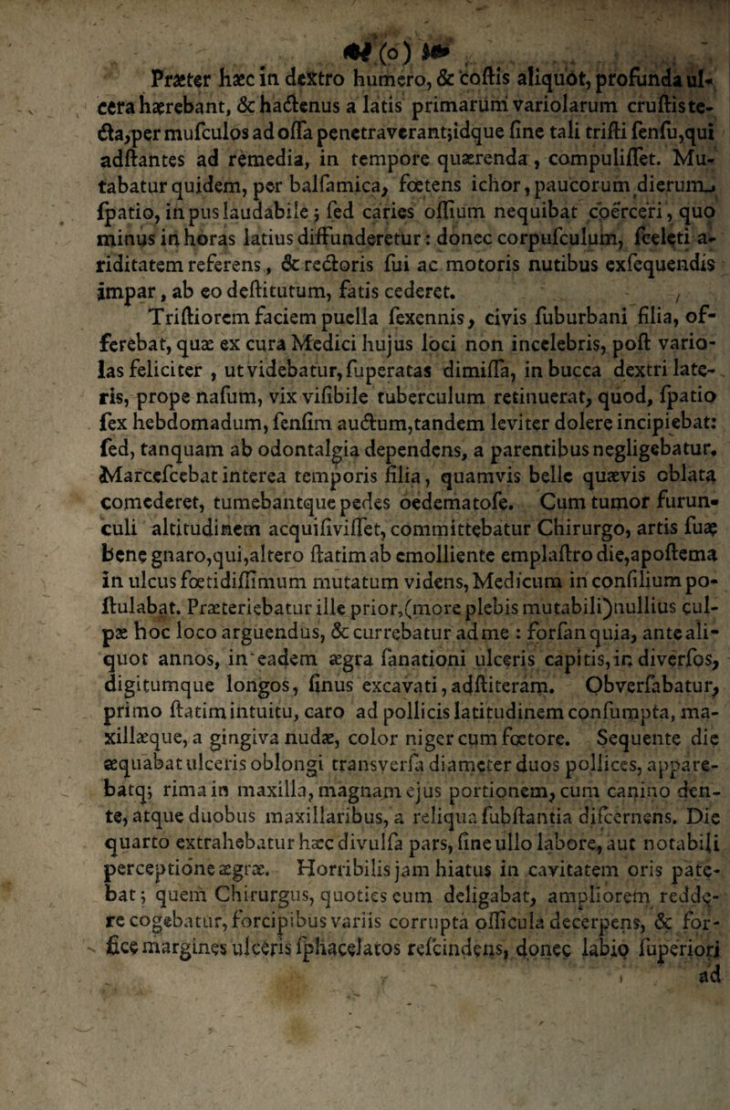 mi (o) m , ^ . Praster haec iti dextro humero, & ‘coftis aliqudt, profunda ul* cera haerebant, &ha6ienus a latis primarum variolarum cruftistc- da^permufculosadoflapcnetraverantiidque fine tali trifii fenfu,qui adftantcs ad remedia, in tempore quaerenda, compuliffet. Mu^ tabaturquidem, per balfamica, foetens ichor,paucorum dierum^ fpatio, in pus laudabile; fed caries offium nequibat cpercen , quo minus in horas latius diffunderetur: donec corpufculum, fceleti a^- riditatem referens, & redloris fui ac motoris nutibus cxfequendis impar, ab eo deftitutum, fatis cederet. , Triftiorem faciem puella fexennis, civis fuburbani filia, of¬ ferebat, quse ex cura Medici hujus loci non incelebris, poft vario- las feliciter , ut videbatur, fuperatas dimiffa, in bucca dextri late¬ ris, prope nafiim, vix vifibile tuberculum retinuerat, quod, fpatio fex hebdomadum, fenfim auAum,tandem leviter dolere incipiebat: fed, tanquam ab odontal^ia dependens, a parentibus negligebatur, Marcefeebat interea temporis filia, quamvis belle quaevis oblata comederet, tumebantque pedes oedematofe. Cum tumor furun» culi altitudinem acquifivifiet, committebatur Chirurgo, artis fua? bene gnaro,qui,altero flatimab emolliente emplaflro die,apofl:ema in ulcus foetidifiimum mutatum videns, Medicum inconfiliumpo- llulabat. PraeteriebatLir ille prior,(more plebis mutabili)nullius cul¬ pae hoc loco arguendus, & currebatur ad me : fprfanquia, ante ali¬ quot annos, in'eadem aegra fanationi ulceris capitis,in diverfos, digitumque longos, finus excavati,adftiterarn. Obverfabatur^ primo ftatimintuitu, caro ad pollicis latitudinem cpnfumpta, ma¬ xillaeque, a gingiva nudae, color niger cum fqetore. Sequente dic «equabat ulceris oblongi transveria diameter duos pollices, appare- batq; rima in maxilla, magnaiii ejus portionem, cura canino den¬ te, atque duobus maxillaribus, a reliqua fubftantia di^ernens. Dic quarto extrahebatur hsccdivulfa pars, fine ullo labore, aut notabili perceptione aegrae. Horribilis jam hiatus in cavitatem oris pate- batj quem Chirurgus, quoties eum deligabat, ampliorem redde¬ re cogebatur, forcipibus variis corrupta oflicuIa decerpens, & for- iSc? margines u!c$ri$fpiiacelatos refeindens, donec labio fuperiori ad