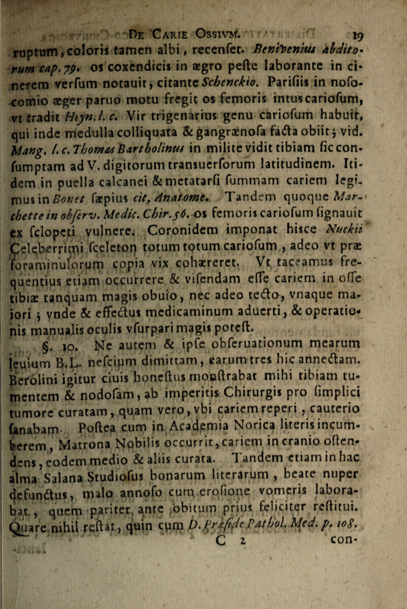 , - De Carie Ossivm. ■ ■ »9 ruptum,coloris tamen albi, rccenfet. Betifocnitu abdito¬ rum cap.79- os coxendicis in aegro pede laborante in ci* nerem verfum notauit, citante Scbenckio. Parifiis in nofo- comio aeger paruo motu fregit os femoris intus cariofum, vt tradit Htyn.l. c. Vir trigenarius genu cariofum habuit, qui inde medulla colliquata &gangraenofa faftaobiit; vid. Mang. I. c. Tbomas Bartholinus in milite vidit tibiam ficcon- fumptam ad V. digitorum transuerforum latitudinem. Iti¬ dem in puella calcanei &metatarfi fummam cariem legi, mus in Bonet fatpius cit. Anatome. Tandem quoque Mar-< cbettein obferv. Medie. Cbir.56. os femoris cariofum (ignauit ex felopeti vulnere. Coronidem imponat hisce Nuckii Celeberrimi fceleton totum totum cariofum , adeo vt pra: foraminulorum copia vix cohaereret. Vt taceamus fre¬ quentius etiam occurrere & vifendam effe cariem in offe tibiae tanquam magis obuio, nec adeo teito, vnaque ma¬ iori j vnde & effectus medicaminum aduerti, & operatio¬ nis manualis oculis vfurpari magis poteft. §. so. Ne autem & ipfe obferuationum mearum jeuium B.L. nefeium dimittam, earum tres hic annetftam. Berolini igitur ciuis honeftus nioaltrabat mihi tibiam tu¬ mentem & nodofam, ab imperitis Chirurgis pro fimplici tumore curatam, quam vero.vbi cariem reperi, cauterio fanabam- Poftea cum in_ Academia Norica literis incum- berem, Matrona Nobilis occurrit, cariem in cranio olten- dens eodem medio & aliis curata. Tandem etiam in hac alma Salana Studiofus bonarum literarum , beate nuper defunitus, malo annofo cum erofione vomeris labora¬ bat., quem pariter, s^nte obitum prius feliciter reditui. Quare nihil reitat, quin cum D.ljrt/tdePathul Med.p. 10$.