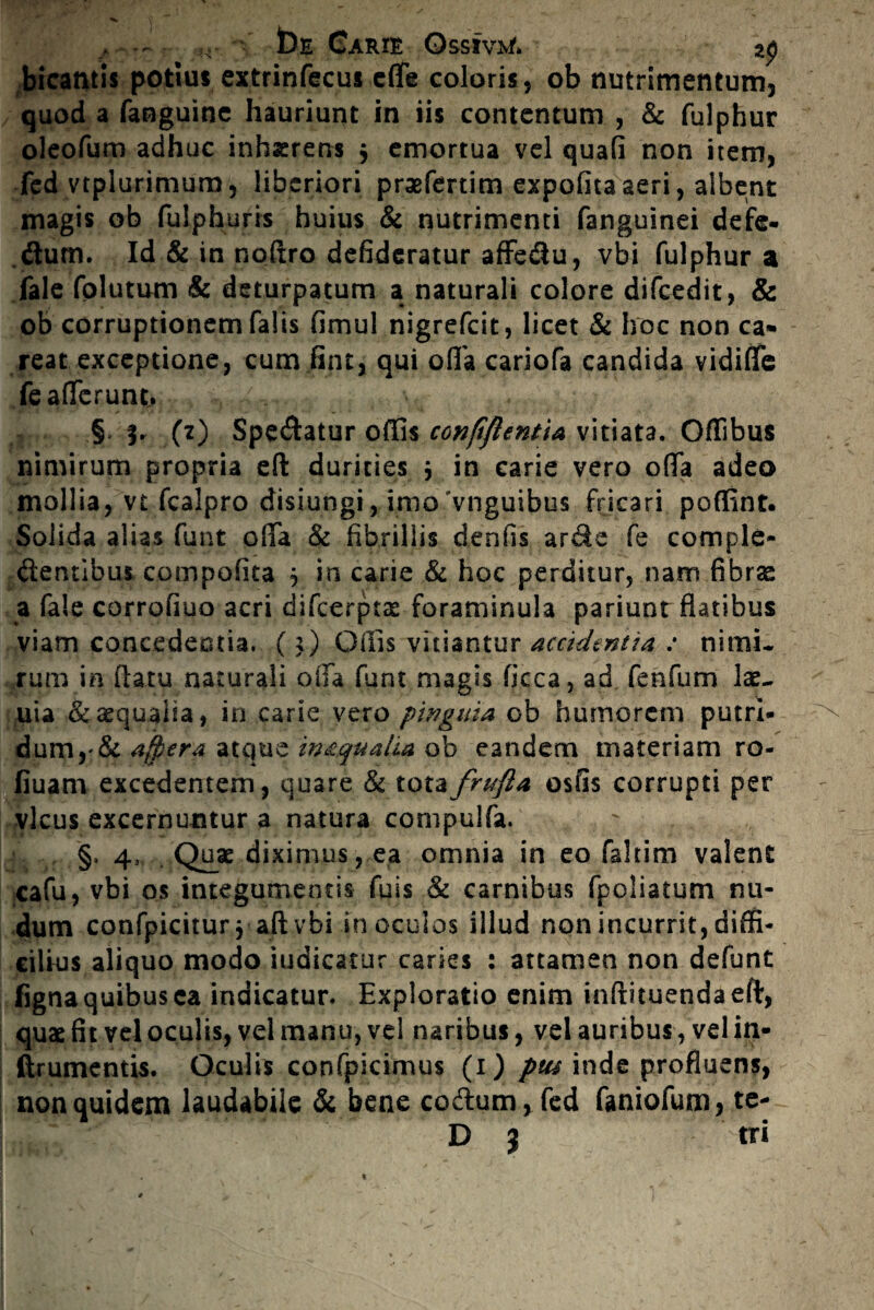 bE Garie Ossmr. ap bicatitss potius extrinfecus cfle coloris, ob nutrimentum, quod a fanguinc hauriunt in iis contentum , & fulphur oleofum adhuc inhaerens $ emortua vel quafi non item, fed vtplurimum, liberiori praefertim expolita aeri, albent magis ob fulphur rs huius & nutrimenti fanguinei defe- <Sum. Id & in noft.ro defideratur afFeflu, vbi fulphur a fale folutum & deturpatum a naturali colore difcedit, & ob corruptionem falis fimul nigrefcit, licet & hoc non ca» reat exceptione, cum fine, qui olla cariofa candida vidiffe fe allerunt. § %• 00 Spedatur offis confiftcntiA vitiata. Offibus nimirum propria eft durities \ in carie vero offa adeo mollia, vt fcalpro disiungi, imovnguibus fricari poflint. Solida alias funt offa & fibrillis denfis arde fe comple* dentibus compofita j in carie & hoc perditur, nam fibras a fale corrofiuo acri difcerpts foratninula pariunt flatibus viam concedentia. (;) Odis vitiantur acctdtntia : nimi¬ rum in flatu naturali offa funt magis ficca, ad fenfum lae- uia & aqualia, in carie vero pinguia ob humorem putri¬ dum,^ afpera atque indquaUa ob eandem materiam ro- fiuam excedentem, quare & totafrufla osfis corrupti per vicus excernuntur a natura compulfa. §, 4* Quae diximus, ea omnia in eo faltim valent cafu, vbi os integumentis fuis & carnibus fpoliatum nu¬ dum confpiciturj aftvbi in oculos illud non incurrit, diffi¬ cilius aliquo modo indicatur caries : attamen non defunt figna quibus ea indicatur. Exploratio enim inftituendaeft, quae fit vel oculis, vel manu, vel naribus, vel auribus, vel in- firumentis. Oculis confpicimus (i) ptu inde profluens, non quidem laudabile & bene coftum, fed faniofum, te- D j tri