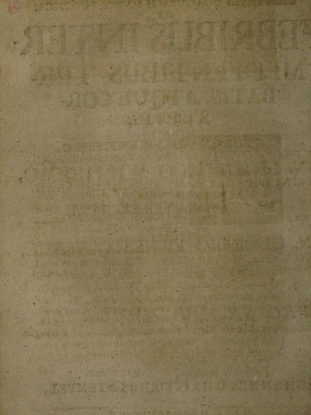 digitised image 2