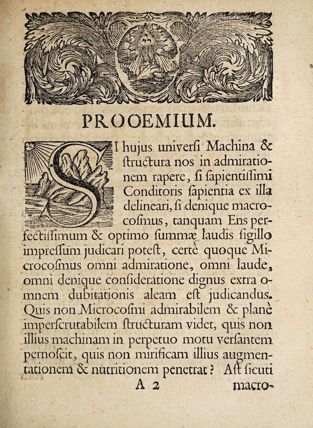 digitised image 3