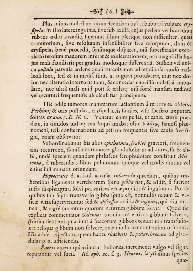 Plus minus moleffitm intumefcentiam infert bubo ad vulgare ery- /pelasin illo latere inguinis, live fub axilla,cujus pedem vel brachium rubens ardor invadit; fuperant illum plerique non difficulter, quali tranlitoriutn, live refolutum infeniibiliter live reforprnm , dum Sc crylipelas bene procedit, fenlimque difparec, nili fuperficialis exco- riatio ferofum madorem inferat Sc exulcerationem, pro magna illa hu¬ jus mali familiaris per gradus modosque differentia. Sufficit vel uni¬ ca puftula parvula ardens quali turcois non ad tendinofa modo mal¬ leoli loca, fed <5c in media fura, uc inguen protuberet, utut nec do¬ lor nec alteratio interna lic tanti, & concedat cum illa moieffia ambu¬ lare, nec ultra mali quid polt fe trahat; nili forte manfuri taediose vel recurfuri frequentius ulcufculi fiat principium. His adde tumores mammarum ladlantium a terrore ex obferv. Pechltni; &c oris pullulas, eryhpelaceis limiles, vifo Ipedlro imputari folitas ex anu. 7. E. N. E. Venatur enim pellis, ut canis, curfu pro¬ dam, in timidos audax; ceu loqui amabat olim 0 *, famoli phae¬ nomeni, fcil. conllernationis ad pellem frequentis live caufae live li¬ gni, etiam obfervator. Subordinabimus his alios Ophthalmia,[cabiei graviori, frequen¬ tius recurrenti, familiares tumores glandulofos ut ad aures, lic &: ali¬ bi, unde fpeciem quandam phthileos fcrophuiolam conllituit Mor- tonm, a tuberculis talibus pulmonum quoque vel crudis diutius vel citius inflammatis oriundam. Hippocrates d. articui. accufat tubercula quaedam , quibus tra¬ hentibus ligamenta vertebrarum (pina gibba fiat,& addit, li fuerint infra diaphragma, folvi per varices verare poplitis 5c inguinum. Porro: quibus fub fepto transverfo gibba Ipina ed, nonnullis renum & vc- flcae vitia fuperveniunt: fed &c abfcejfus ad ilia inguina, qui diu mi¬ nent, 8c aegre fanantur: quotum neutrum gibbum folvit. Quod lic explicat commentator Galenus: tormina c5c varices gibbum folvere, (forfan flentem) quia fiunt a fuccorum gibbos excitantium transfrifio- nc ; reliqua gibbum non folvere, quae modo per confenfum oriuntur. His adde refpedfcum, quem habet rhachitis Sepadanhrocace ad glan¬ dulas p. n. afficiendas. Fueris autem qui oriuntur bubones, incrementi vulgo vel ligna reputantur vel focii. Ad aph. 26, f. HeurniQ fatyrialhms fpecies quee-