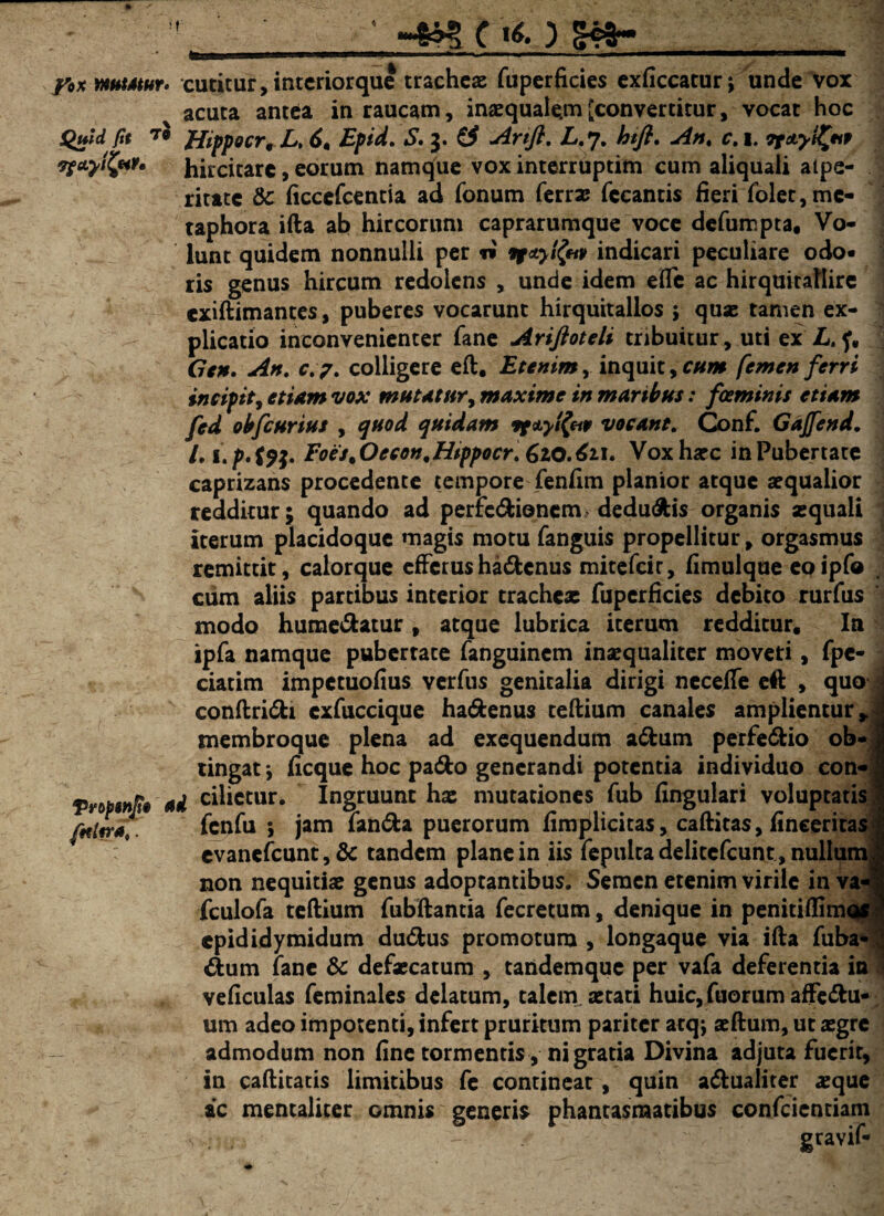 -4« C «*. ) 5«r /*x mutam- cutitur,interiorque tracheae fuperficies exficcatur; unde vox acuta antea in raucam, inaequalem [convertitur, vocat hoc iQuid fu to ffippocr, L, Epid. S. 3. & Anfl. L. 7. hifl. r. I. 9r*y$£ti9 Tfctylfyi*» hircicare, eorum namque vox interruptim cum aliquali aipe- ritate & ficccTcentia ad Tonum Terras Tccantis fieri folet, me¬ taphora ifta ab hircorum caprarumque voce defumpta, Vo¬ lunt quidem nonnulli per ti ifctyifay indicari peculiare odo« ris genus hircum redolens , unde idem efle ac hirquitaTIire exiftimantes, puberes vocarunt hirquitallos ; quse tamen ex¬ plicatio inconvenienter Tane Arifioteli tribuitur , uti ex f, Gcn. An. c.7. colligere eft, Etenim, inquit, cum femen ferri incipit, etiam vox mutatur, maxime in maribus: foeminis etiam fed obfcurius , ^#0^ quidam Tf&ytfap vocant. Conf. Gajfend. L 1 M?*. Foes9Oecon.Htppocr. 620.621. Vox haec in Pubertate caprizans procedente tempore Tenfim planior atque aequalior redditur; quando ad perfe&ionem, dedu&is organis aequali iterum placidoque magis motu Tanguis propellitur, orgasmus remittit, calorque efferushadenus mitefeir, fimulque eoipf® cum aliis partibus interior tracheae fuperficies debito rurTus modo hurae&atur, atque lubrica iterum redditur. In ipTa namque pubertate Tanguinem inaequaliter moveri, fpe- ciatim impetuofius ver Tus genitalia dirigi necelfe eft , quo conftri&i cxfiiccique ha&enus teftium canales amplientur y membroque plena ad exequendum a&um perfe&io ob¬ tingat *, ficque hoc pa<5to generandi potentia individuo con- Vrob$nfy ad cilietur. Ingruunt hae mutationes Tub fingulari voluptatis falera. TenTu \ jam Tan&a puerorum fimplicitas, caftitas, fineeritas evanefcunt,& tandem plane in iis fepultadelitcfcuntjnullunv non nequitiae genus adoptantibus. Semen etenim virile in va- fculoTa teftium Tubftantia Tecretum, denique in penitiflim< epididymidum dudfus promotura , longaque via ifta Tuba< dum Tane & defaecatum , tandemque per vaTa deferentia in veficulas feminales delatum, talem, aetati huic, fuorum affe&u* um adeo impotenti, infert pruritum pariter atqj aeftum, ut aegre admodum non fine tormentis, ni gratia Divina adjuta fuerit, in caftitatis limitibus fe contineat, quin a&ualiter aeque ac mentaliter Granis generis phantasmatibus confcientiam