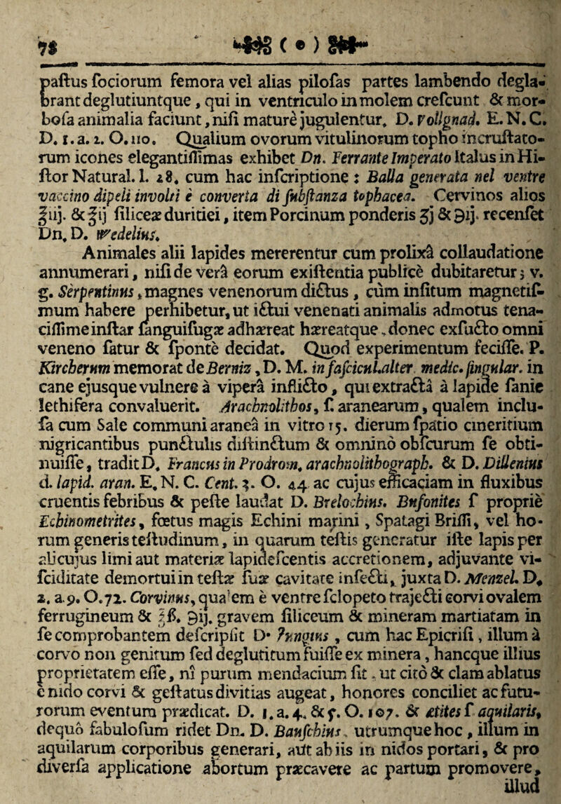 paftus fociorum femora vel alias pilofas partes lambendo degla* ferant deglutiuntque, qui in ventriculo in molem crefcunt St mor- feofa animalia faciunt, nifi mature jugulentur, D. vollgnad. E. N. C. D. i. a. 2* O. no, Qualium ovorum vitulinorum topho incruftato- rum icones elegantiflimas exhibet Dn< Ferrante Imperato Italus in Hi- ftor Natura!. L 28. cum hac inferiptione j Balla generata nel ventre vaccino dipdi involti e converta difnbftanza tophacea. Cervinos alios §iij. Sc fi) filice# duritiei, item Porcinum ponderis Jj St 9ij- recenfet Dn, D. rtredelinst Animales alii lapides mererentur cum prolixi collaudatione annumerari, nifi de veril eorum exiftentia publice dubitaretur 5 v. g. Serpentinus * magnes venenorum di£tus, cum infitum magnetiC- mum habere perhibetur, ut iftui venenati animalis admotus tena- ciflimeinftar fanguifug# adhaereat h#reatque„ donec exfufto omni veneno fatur & fponte decidat. Quod experimentum fecifle. P. KiYcberHm memorat deBerniz ,D. M. infafcicuLalter medie. finpular. in cane ejusque vulnere a vipera infli&o, qmextra&a a lapide fanie lethifera convaluerit. Aracbnolitbos, f. aranearum, qualem inclu- fa cum Sale communi aranea in vitro T5, dierum fpario cmeritium nigricantibus pun&ulis diitinftum St omnino obfcumm fe obti- nuifle, tradit D* Francus in Prodrom, arachnoiitboorapk. St D. Dillenius d. lapid. aran. E#N. C. CenU 3. O. 44 ac cujus efficaciam in fluxibus cruentis febribus St pelle laudat D. Brelocbins, Bnfonites f proprie Ecbinometrites, fetus magis Echini malini, Spatagi Briffi* vel ho¬ rum generis teftudinum, in quarum teftis generatur ifte lapis per alicujus limi aut materi# lapidefcentis accretionem, adjuvante vi- fciditate demortui in tefl# fu# cavitate juxta D. Menzel. D, z, a. 9.0*72. Corvinus, qua em e ventre felopeto trajefti corvi ovalem ferrugineum St 3$. 913, gravem filiceum St mineram martiatam in fe comprobantem deferipiit l> ?unqtns , cum hacEpiaifi, illum ^ corvo non genitum fed deglutitum fuifTe ex minera, haneque illius proprietatem effe, m purum mendacium fit .ut cito St clam ablatus cmdo corvi St geftatus divitias augeat, honores conciliet ac futu¬ rorum eventum prsedicat. D. 1, a. 4* St f. 0.1 ©7. Sr itites f aquiiaris, dequb fabulofum ridet Dn. D. Baufcbius, utrumquehoc, illum in aquilarum corporibus generari, atftabiis in nidos portari, St pro diverfa applicatione abortum praecavere ac partum promovere, s. , illud